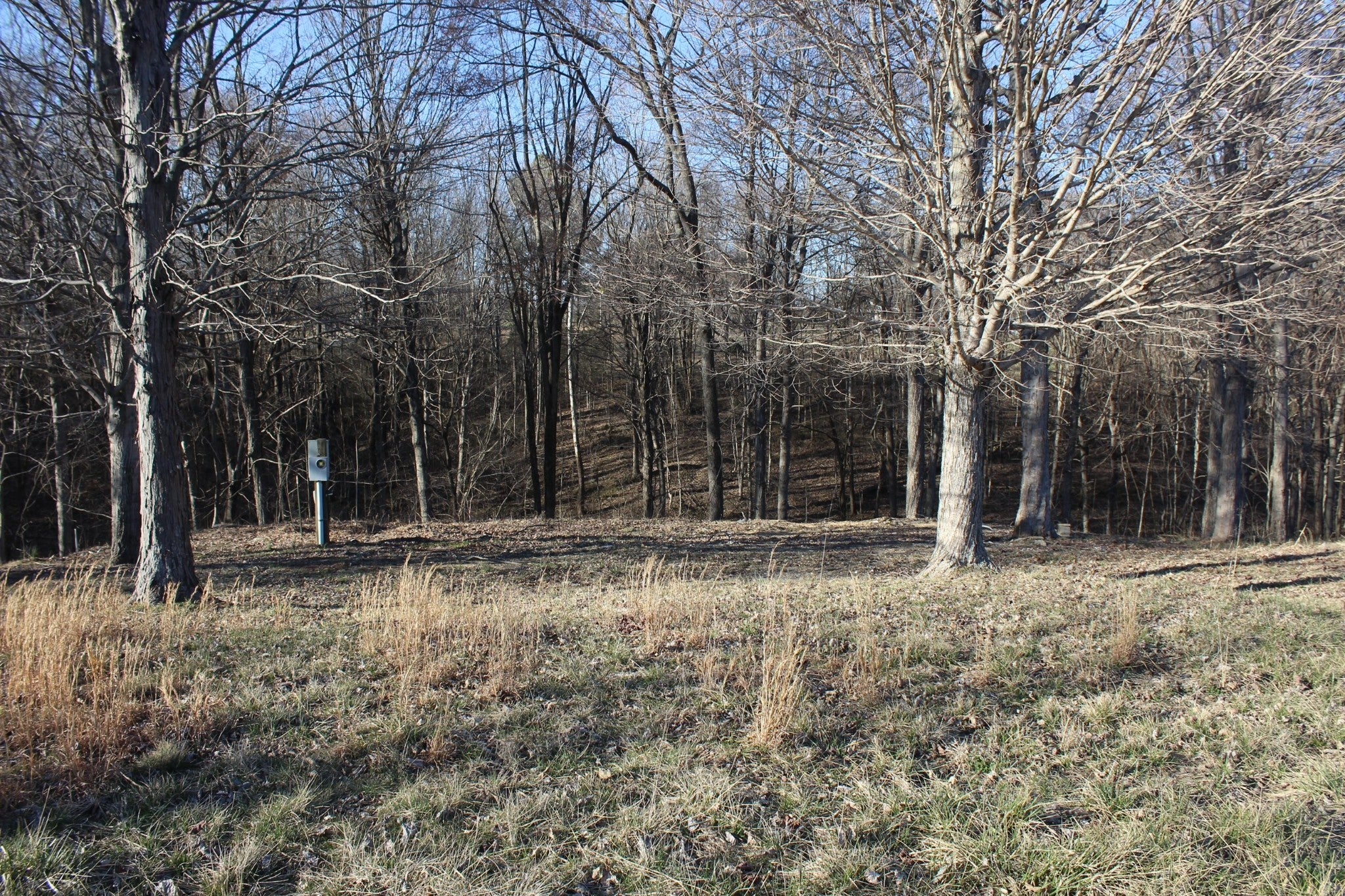 Photo of Listing #2805124