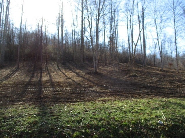 Photo of Listing #2805139