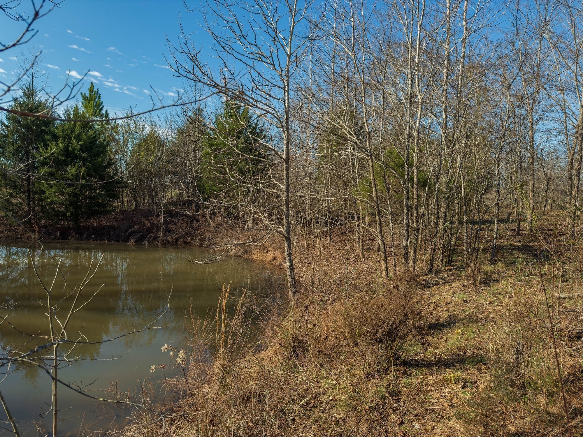 Photo of Listing #2805247