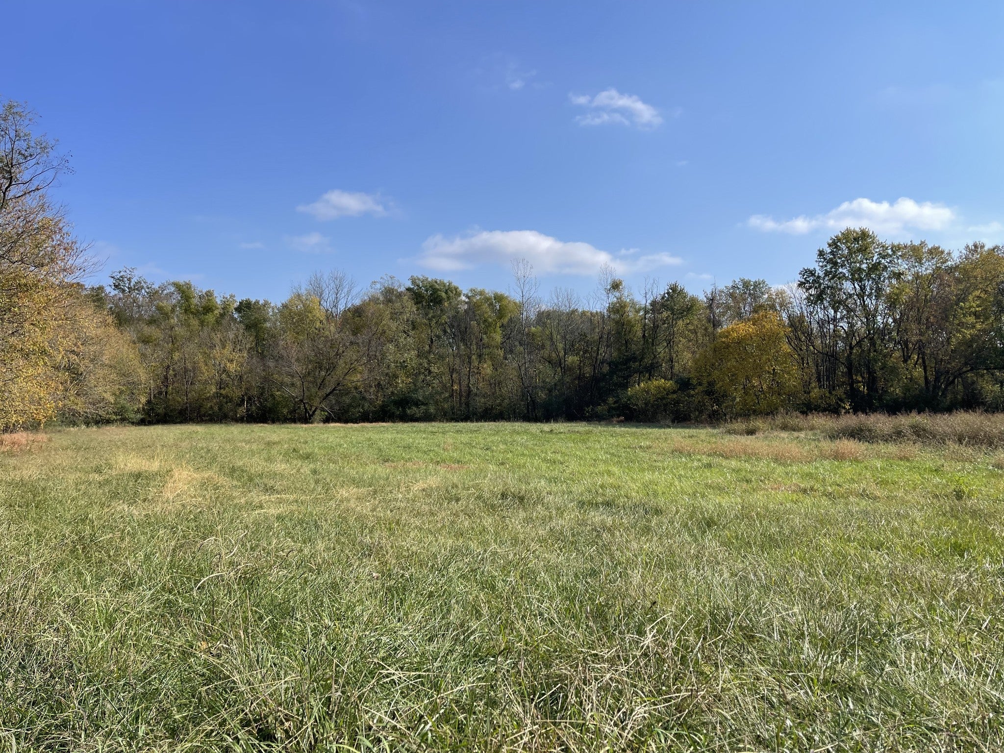 Photo of Listing #2805359