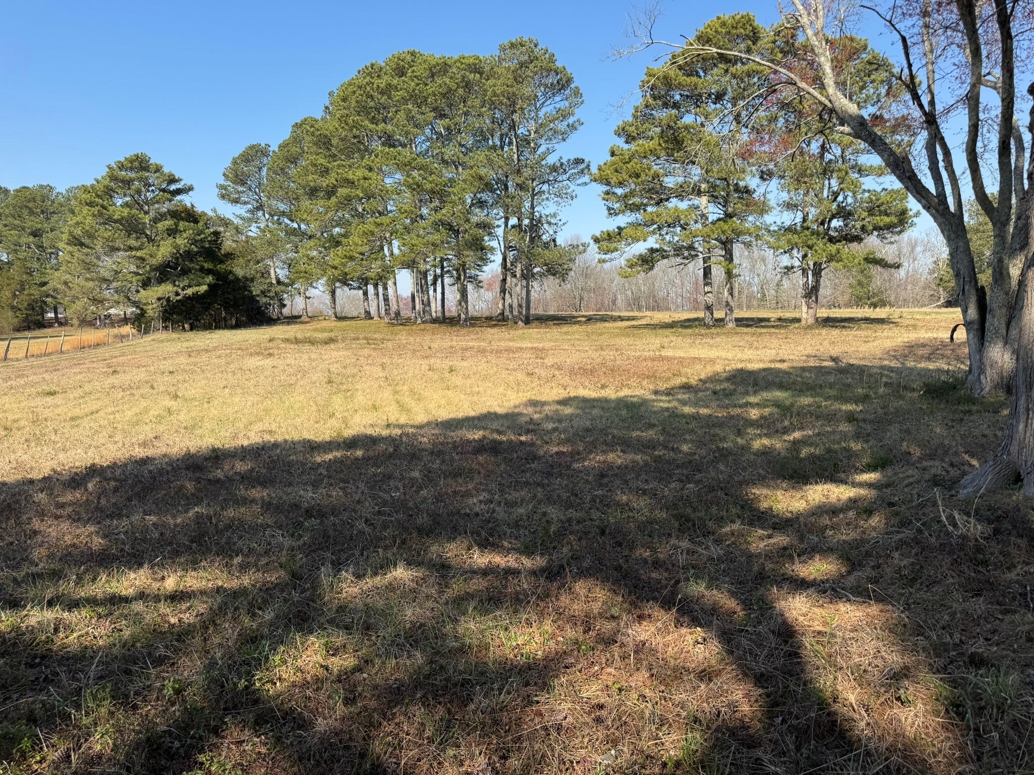 Photo of Listing #2806742
