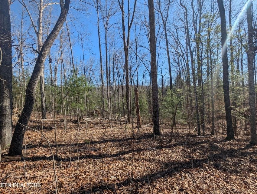 Photo of Listing #2807141