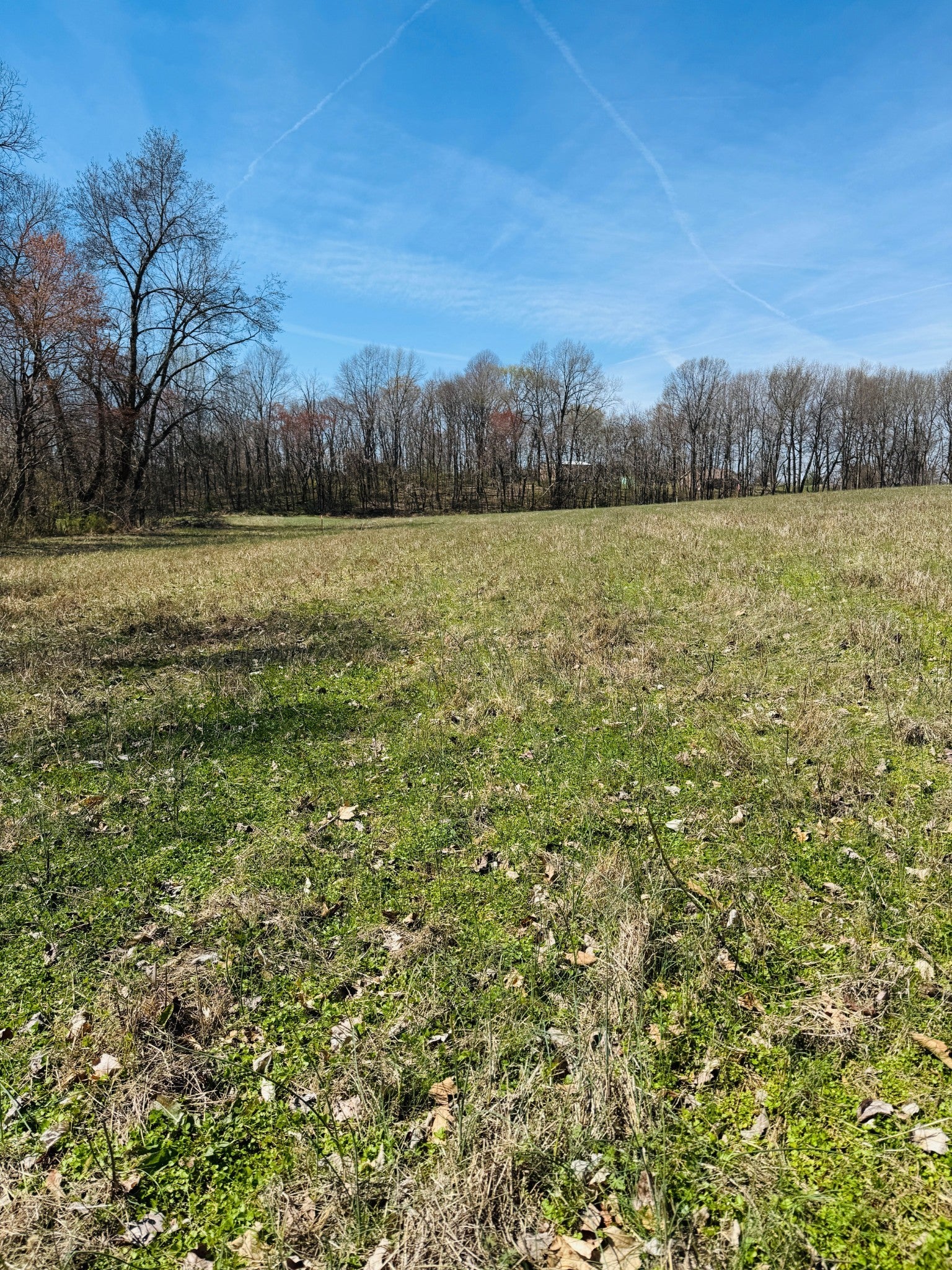 Photo of Listing #2807294