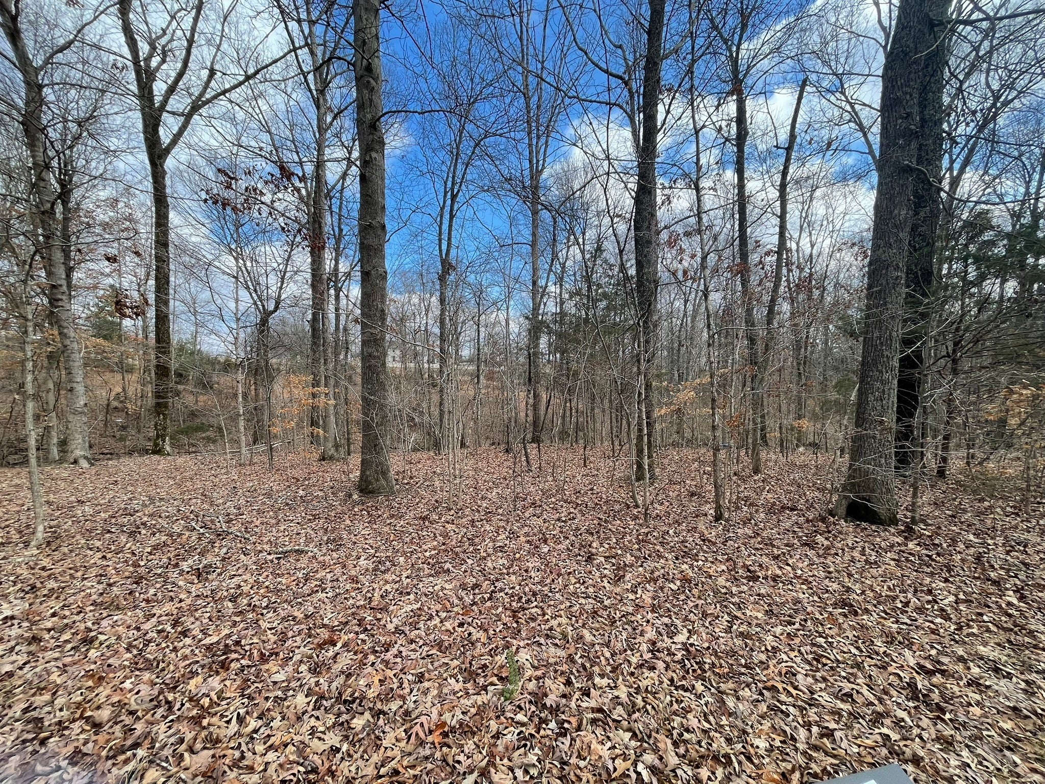 Photo of Listing #2807375
