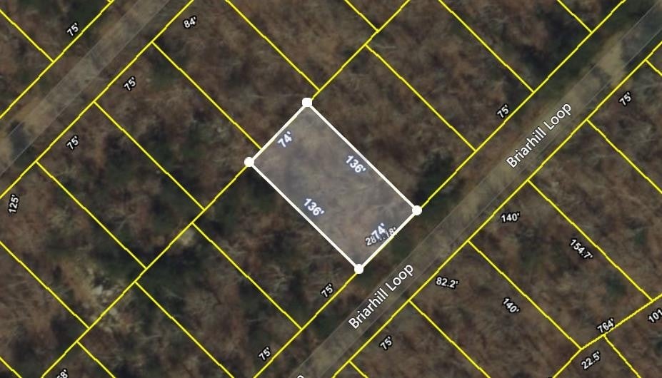 Photo of Listing #2807509