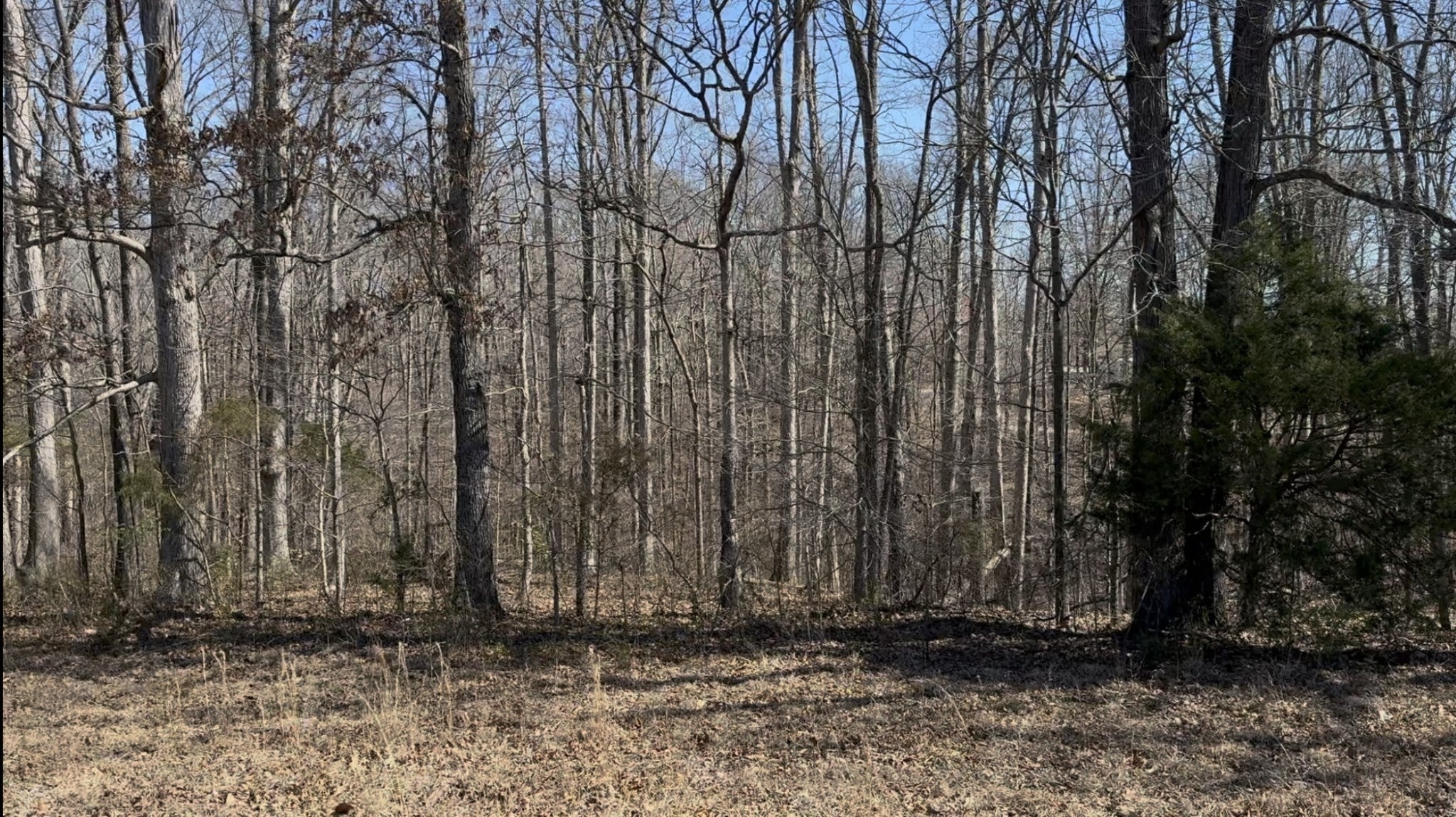 Photo of Listing #2807682
