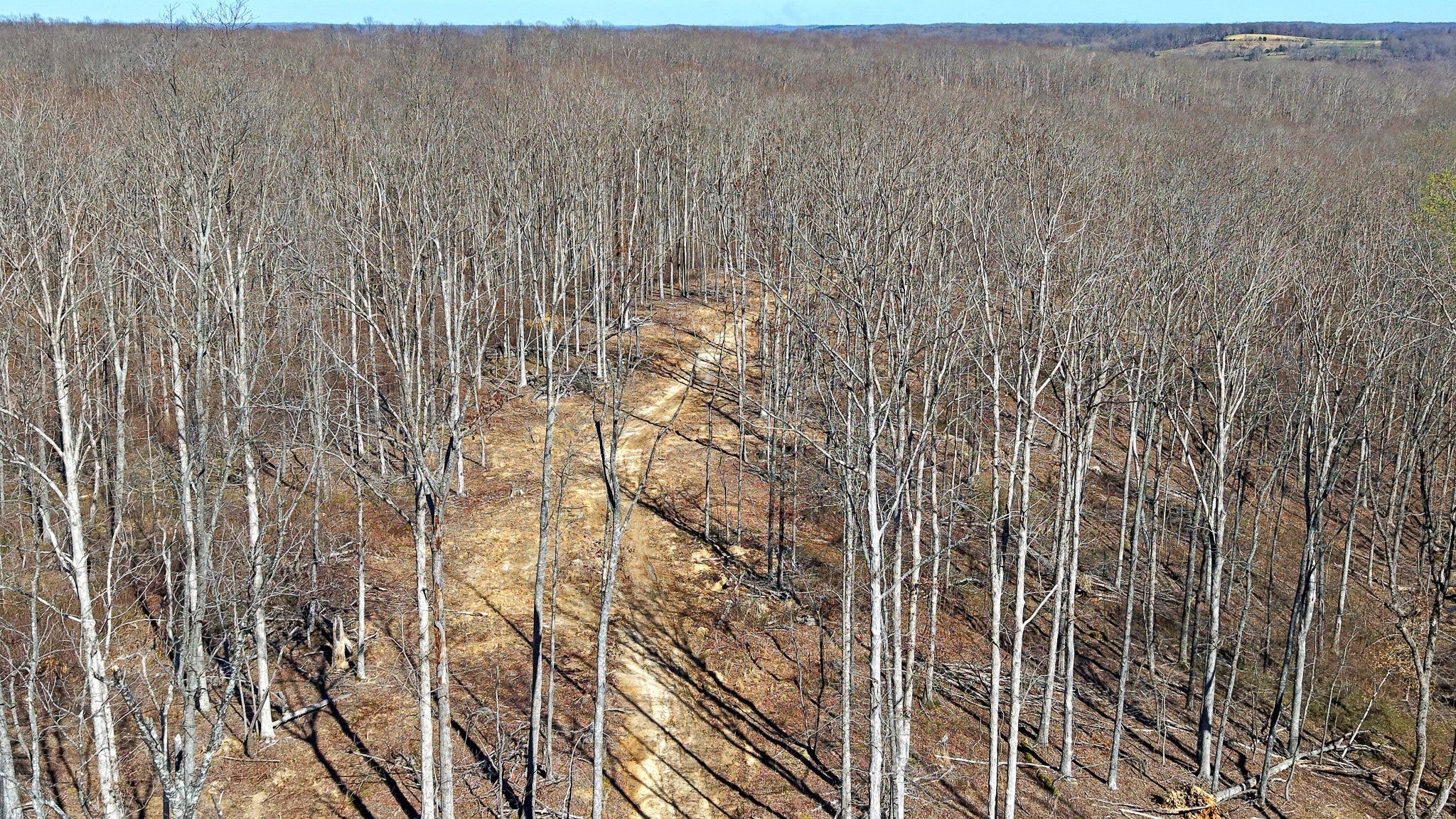 Photo of Listing #2808348