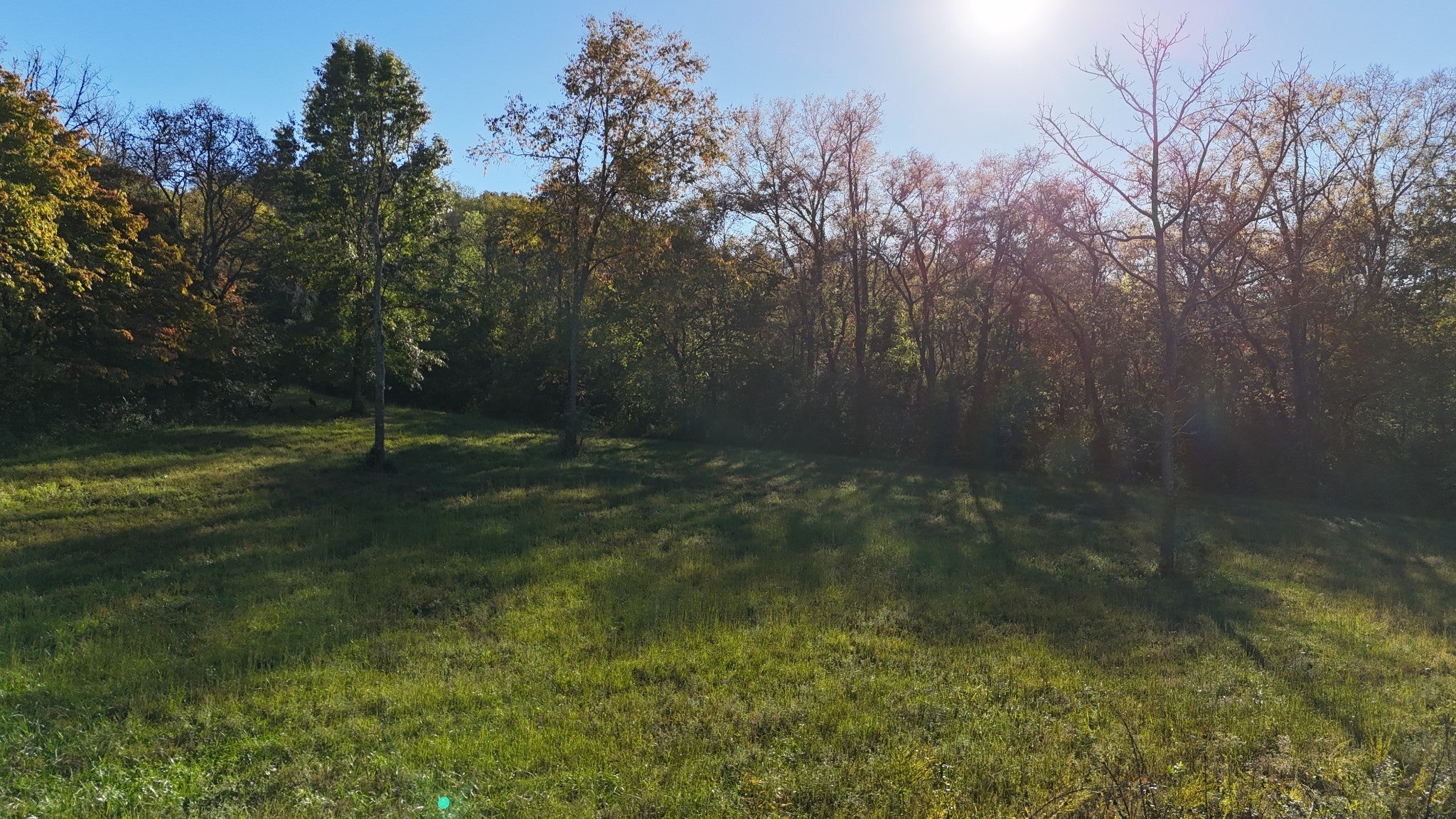 Photo of Listing #2808667