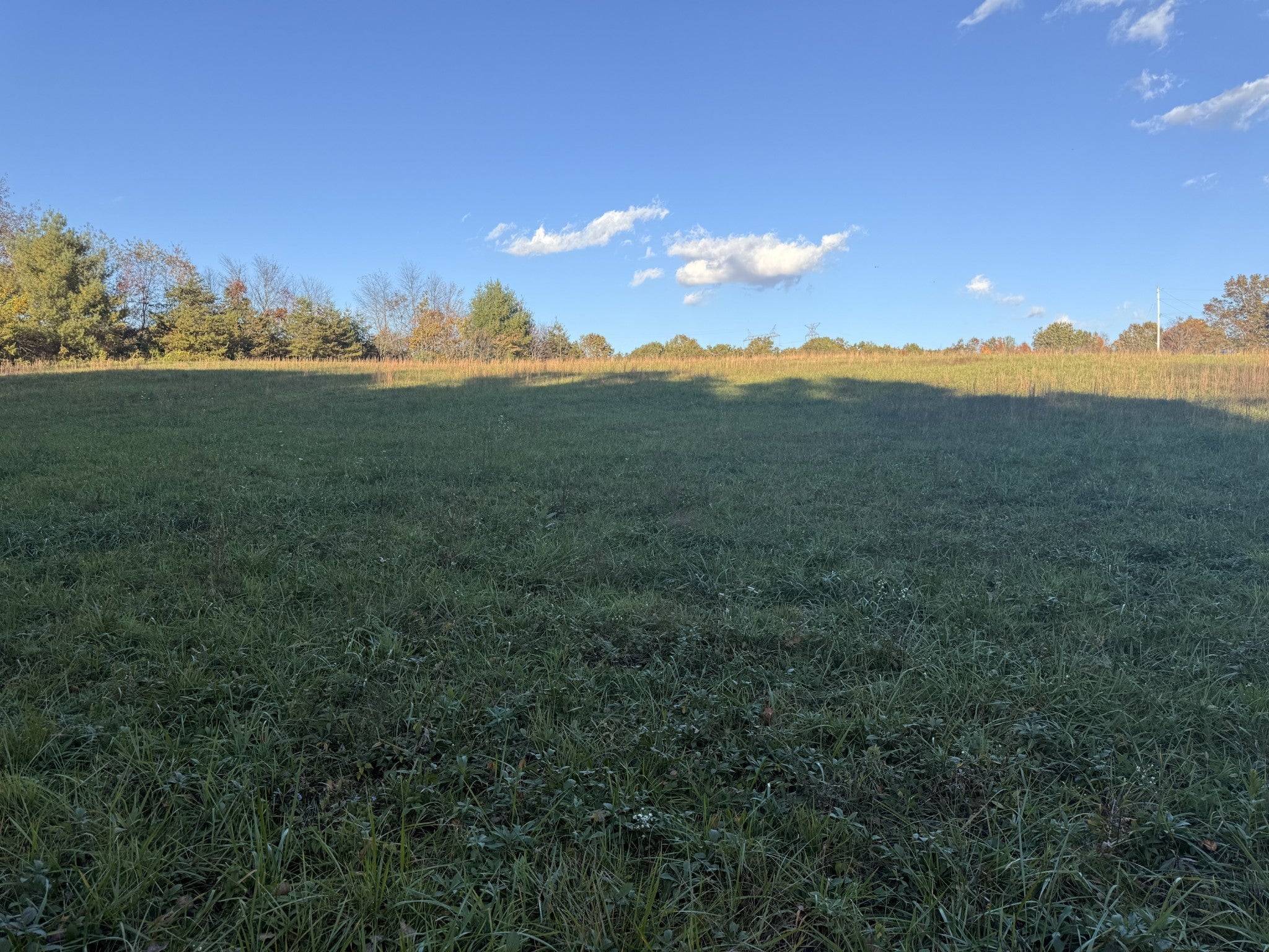 Photo of Listing #2808813