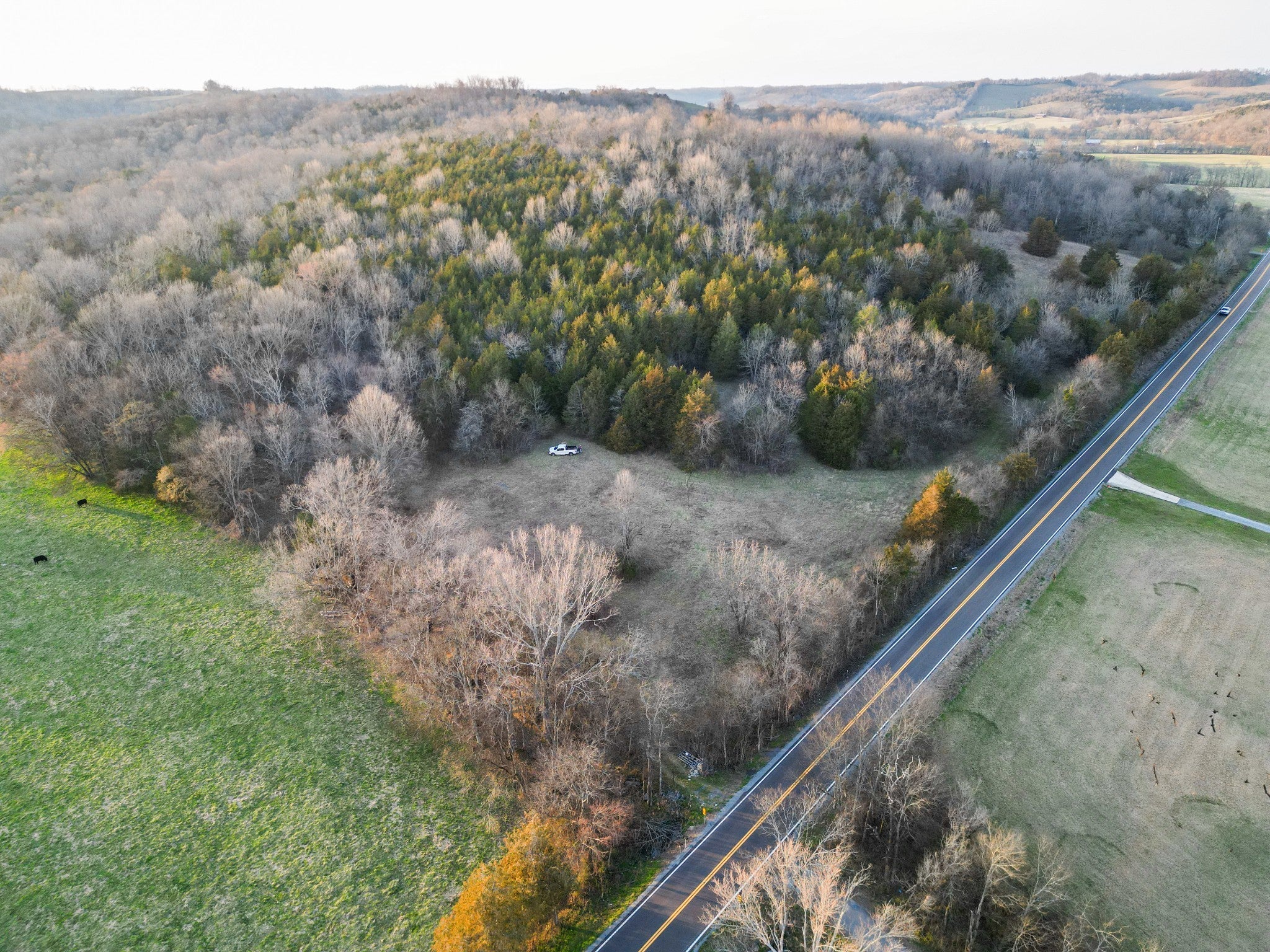 Photo of Listing #2809719
