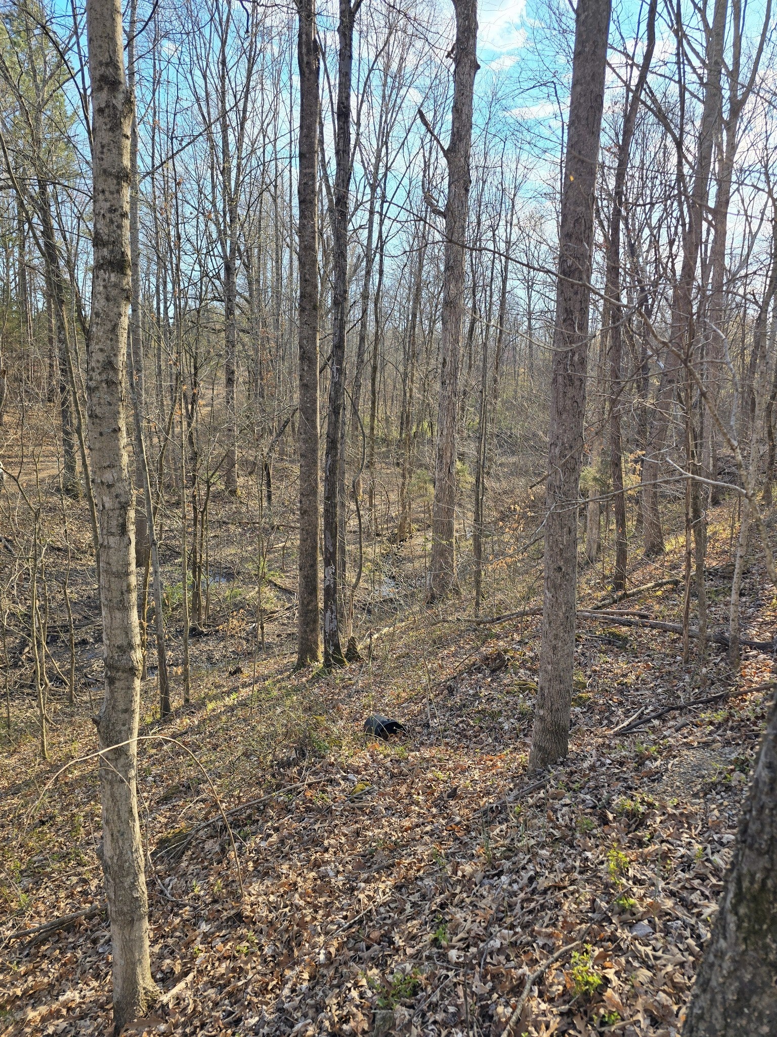 Photo of Listing #2809852