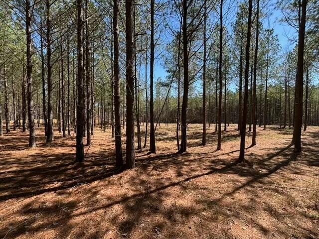 Photo of Listing #2810073