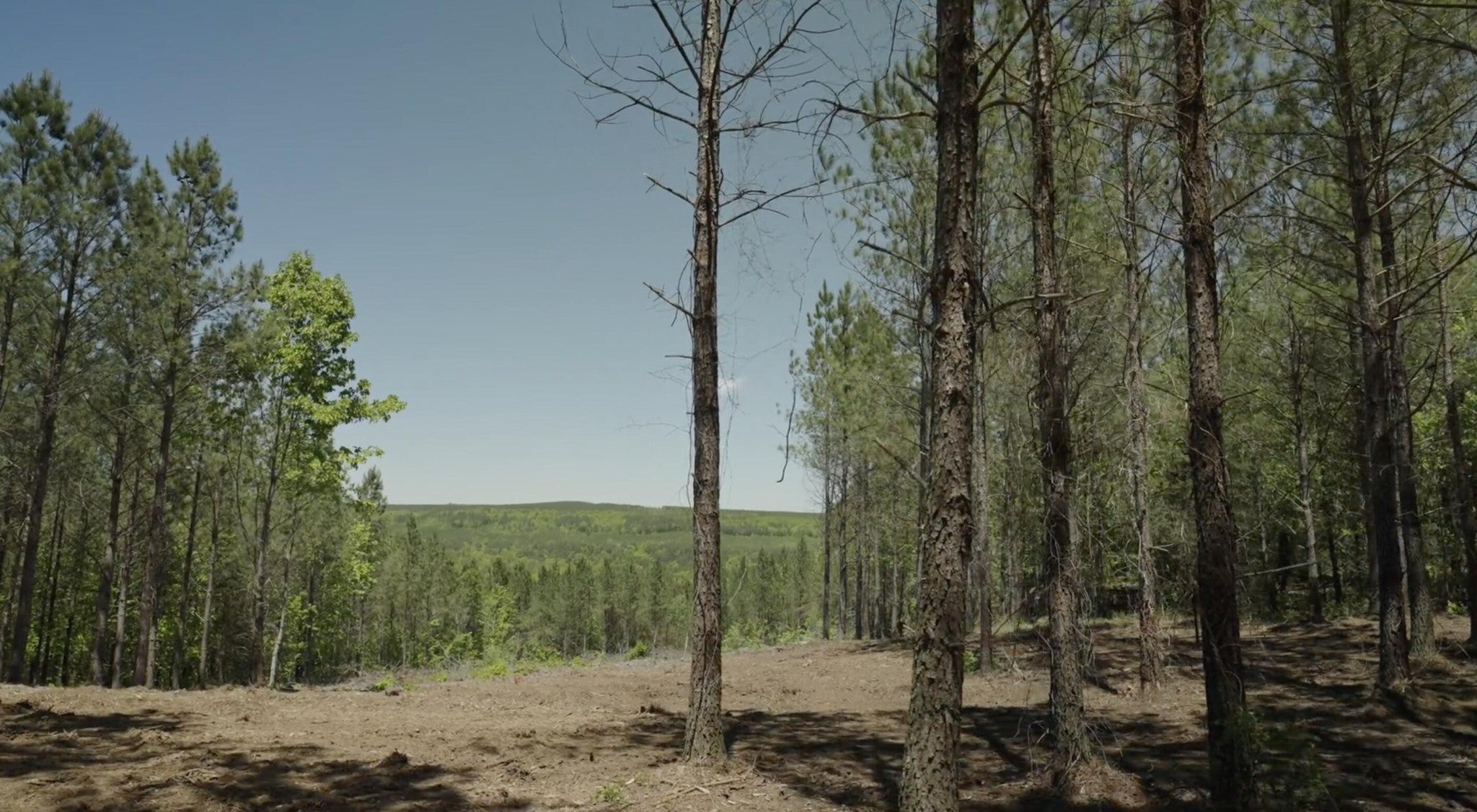 Photo of Listing #2810079