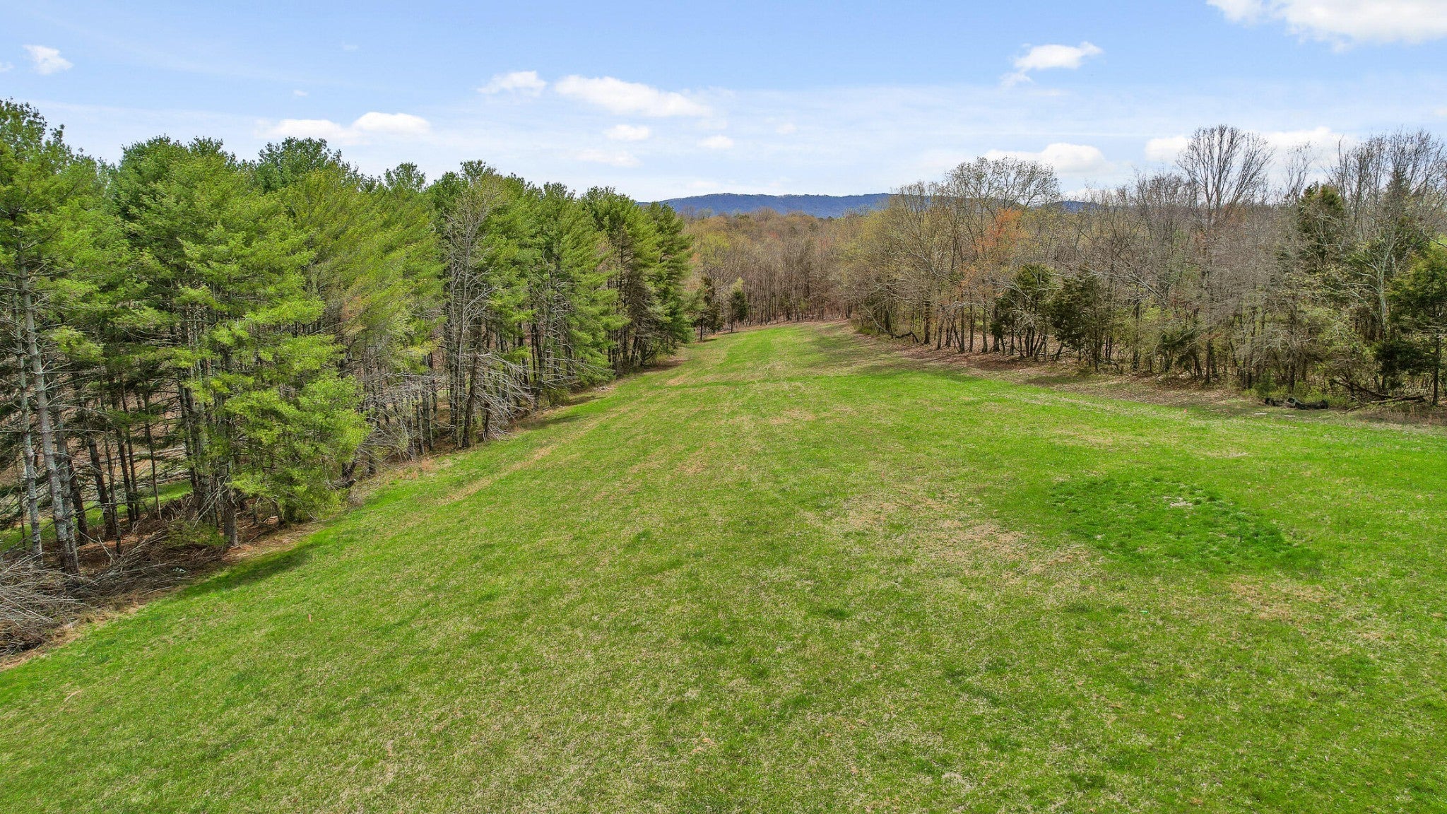 Photo of Listing #2810636