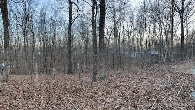 Photo of Listing #2810801