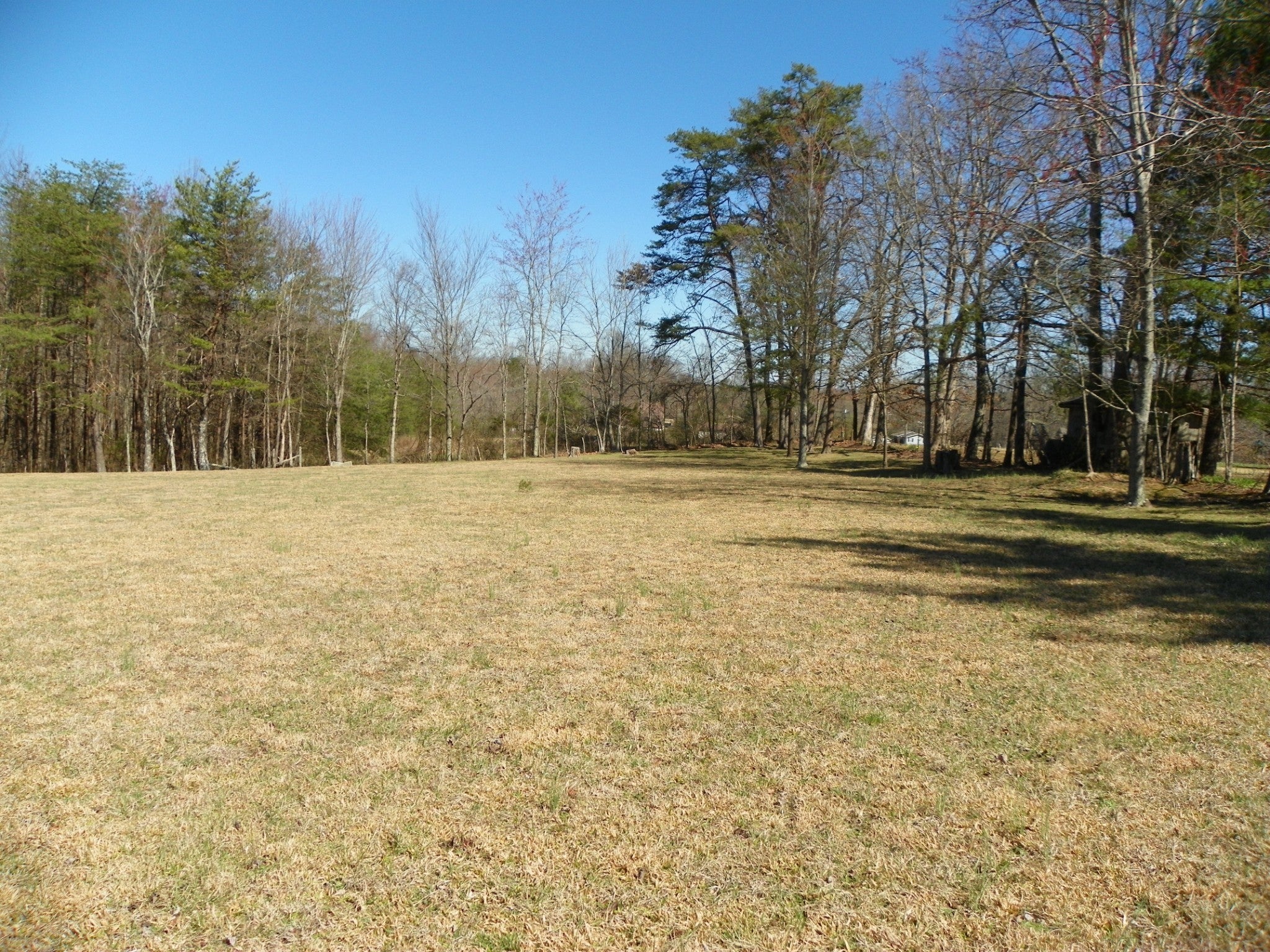 Photo of Listing #2810917