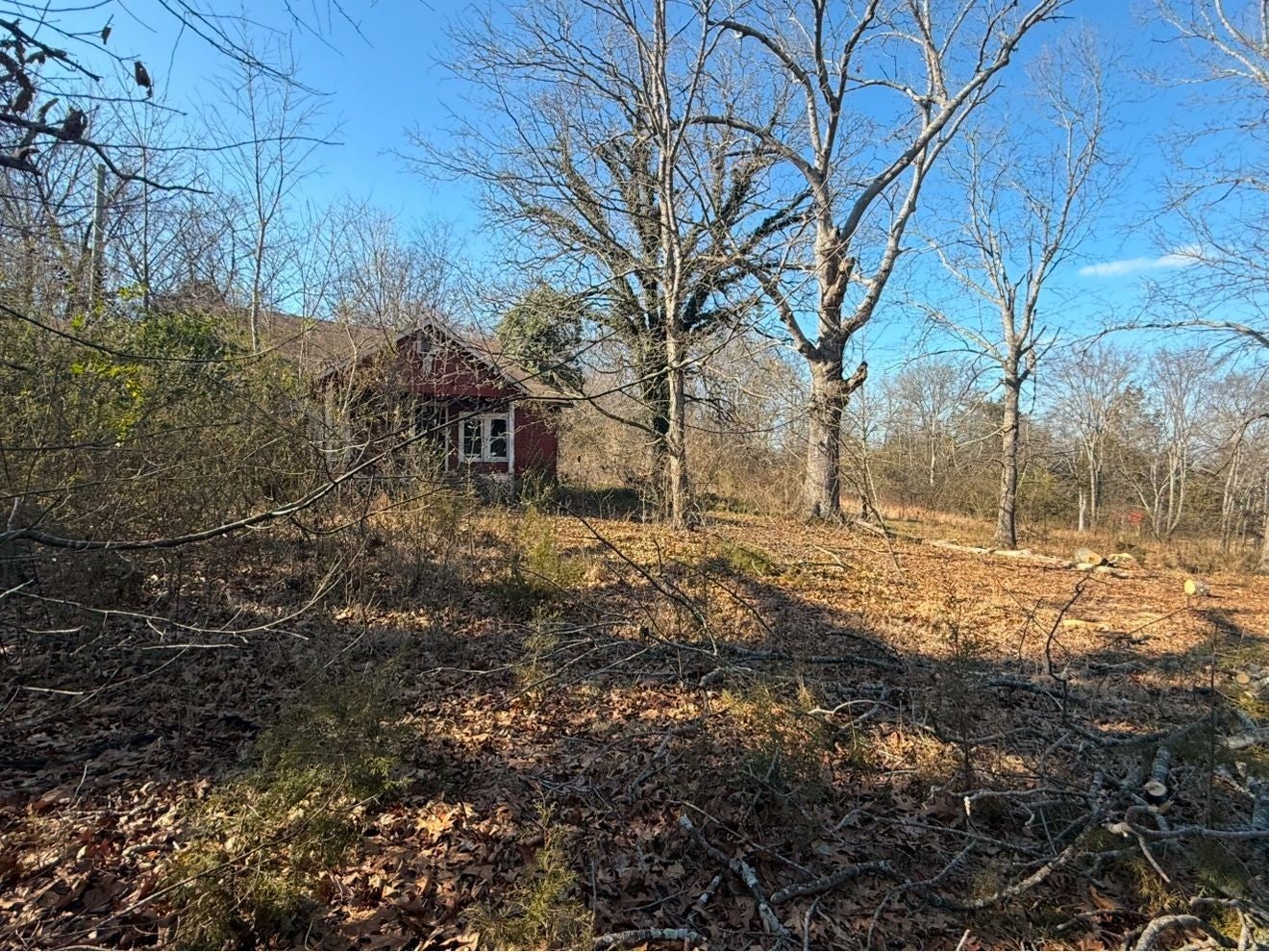 Photo of Listing #2812411