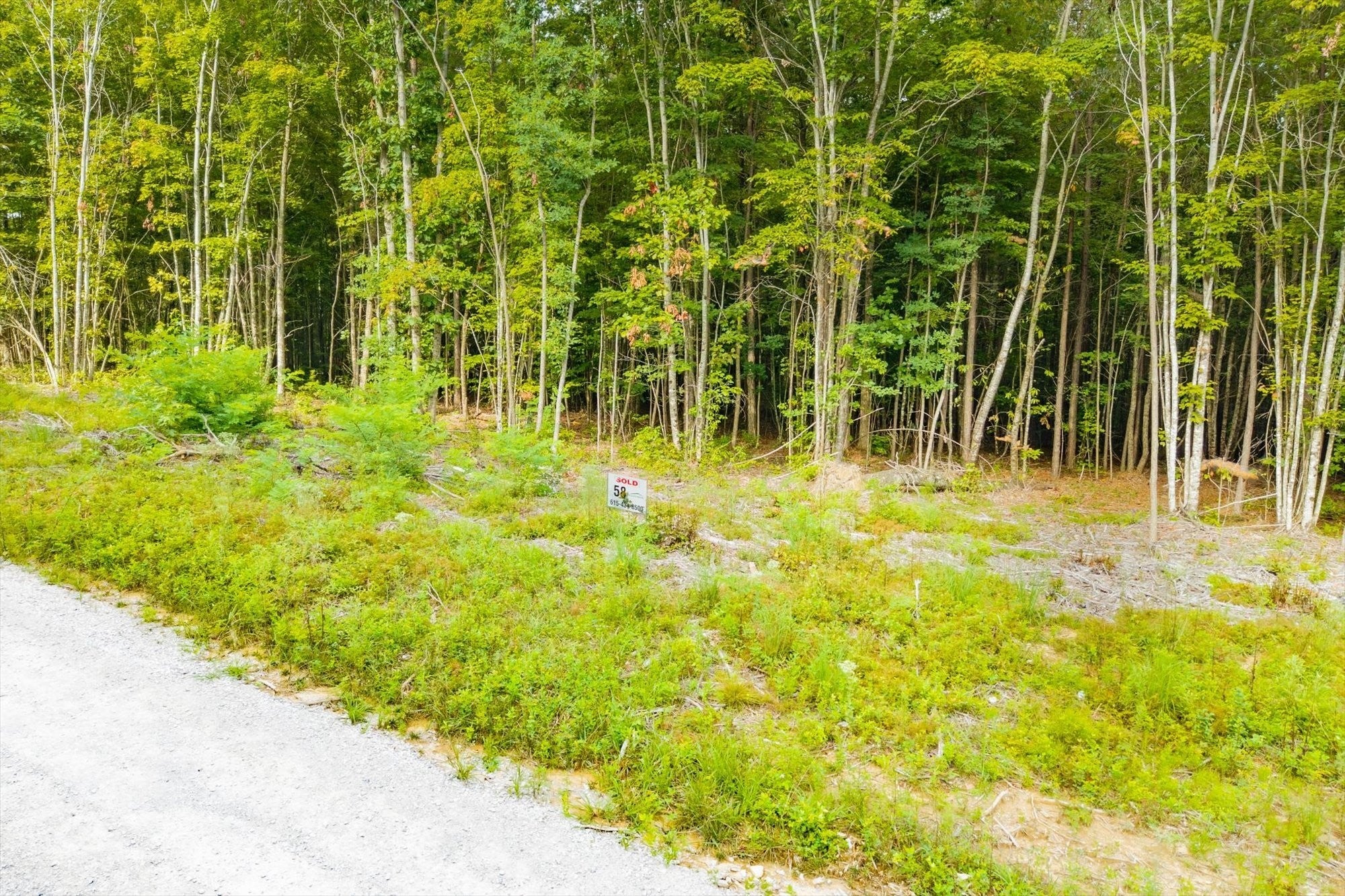 Photo of Listing #2812627