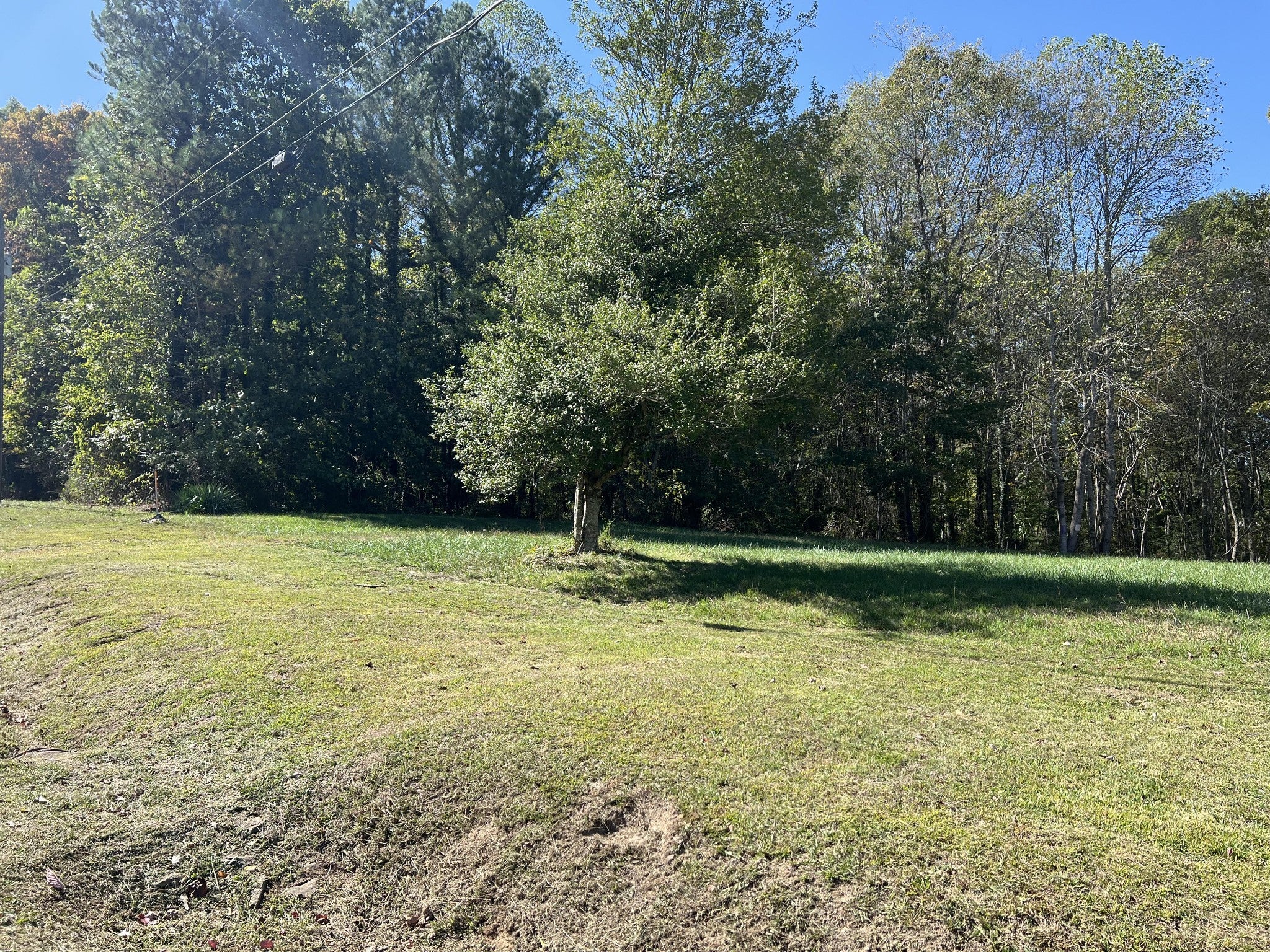 Photo of Listing #2812681