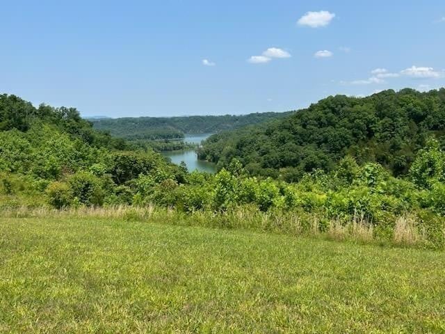 Photo of Listing #2812844