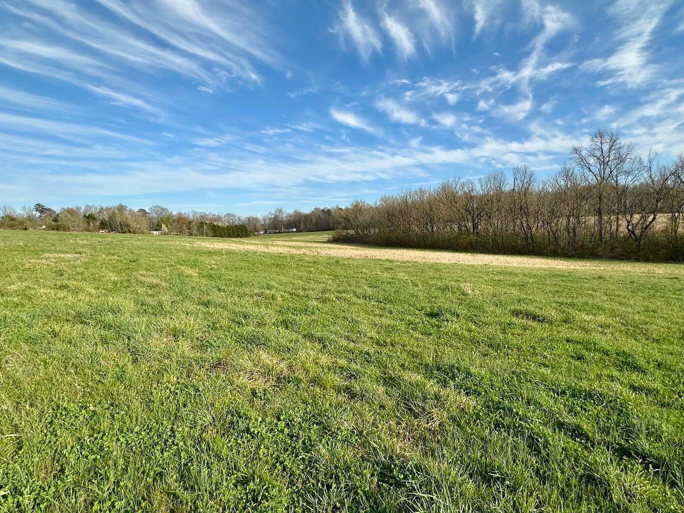 Photo of Listing #2812907