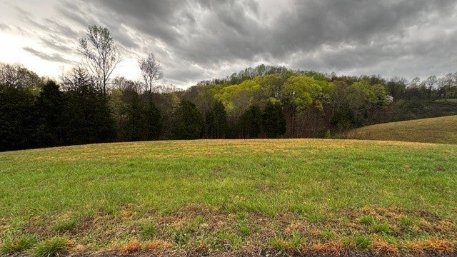 Photo of Listing #2813329