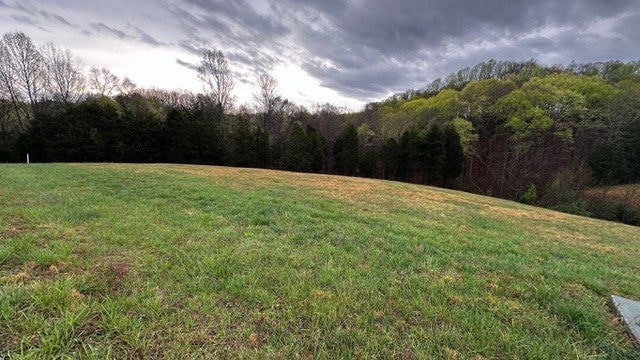 Photo of Listing #2813330
