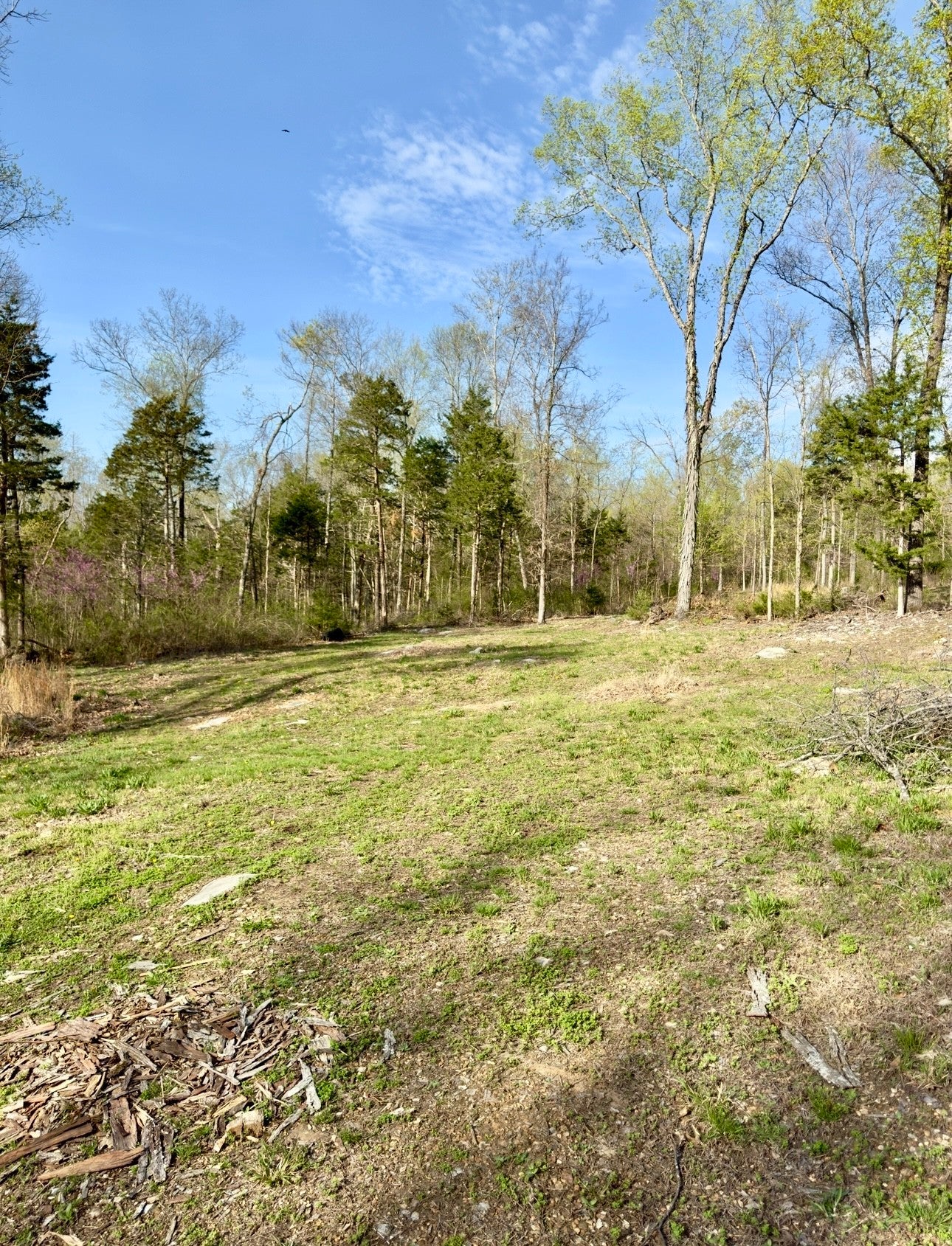 Photo of Listing #2814158