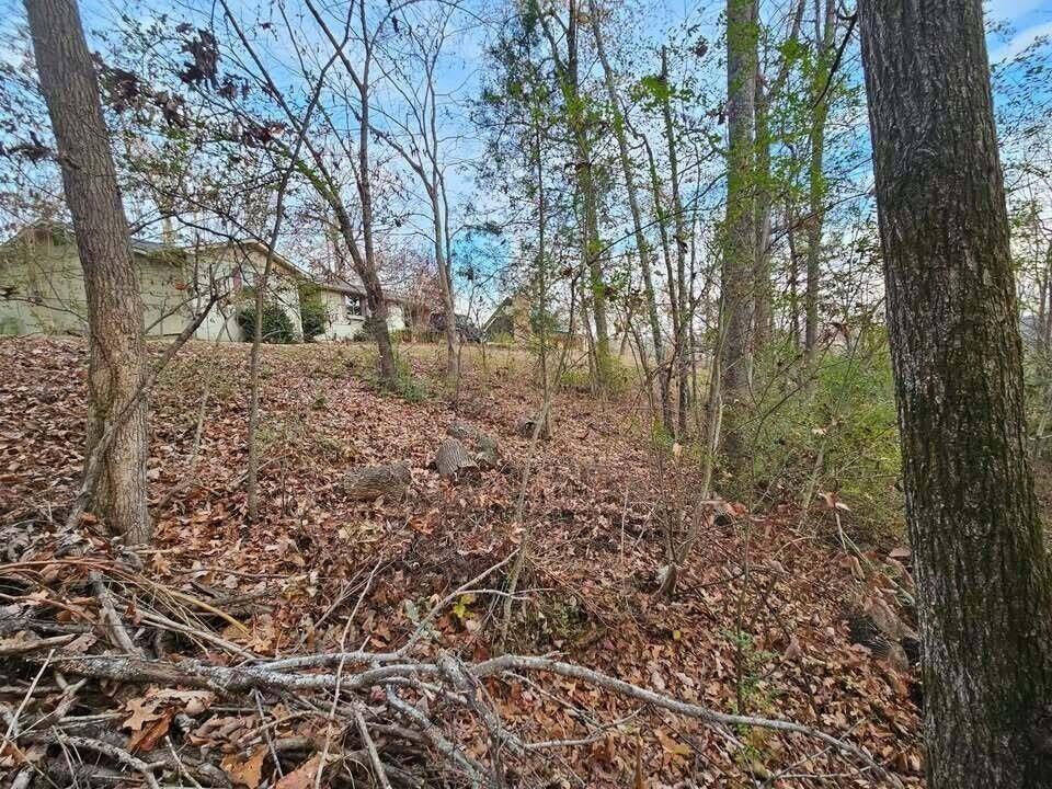 Photo of Listing #2814418