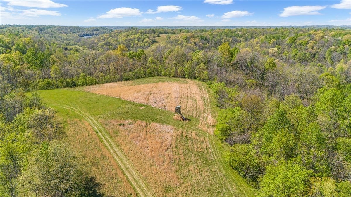 Photo of Listing #2815055