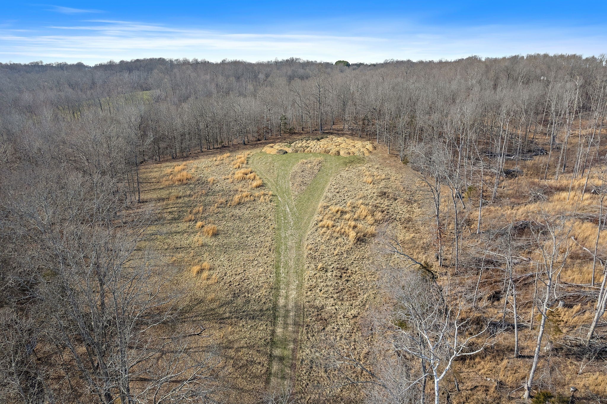Photo of Listing #2815304