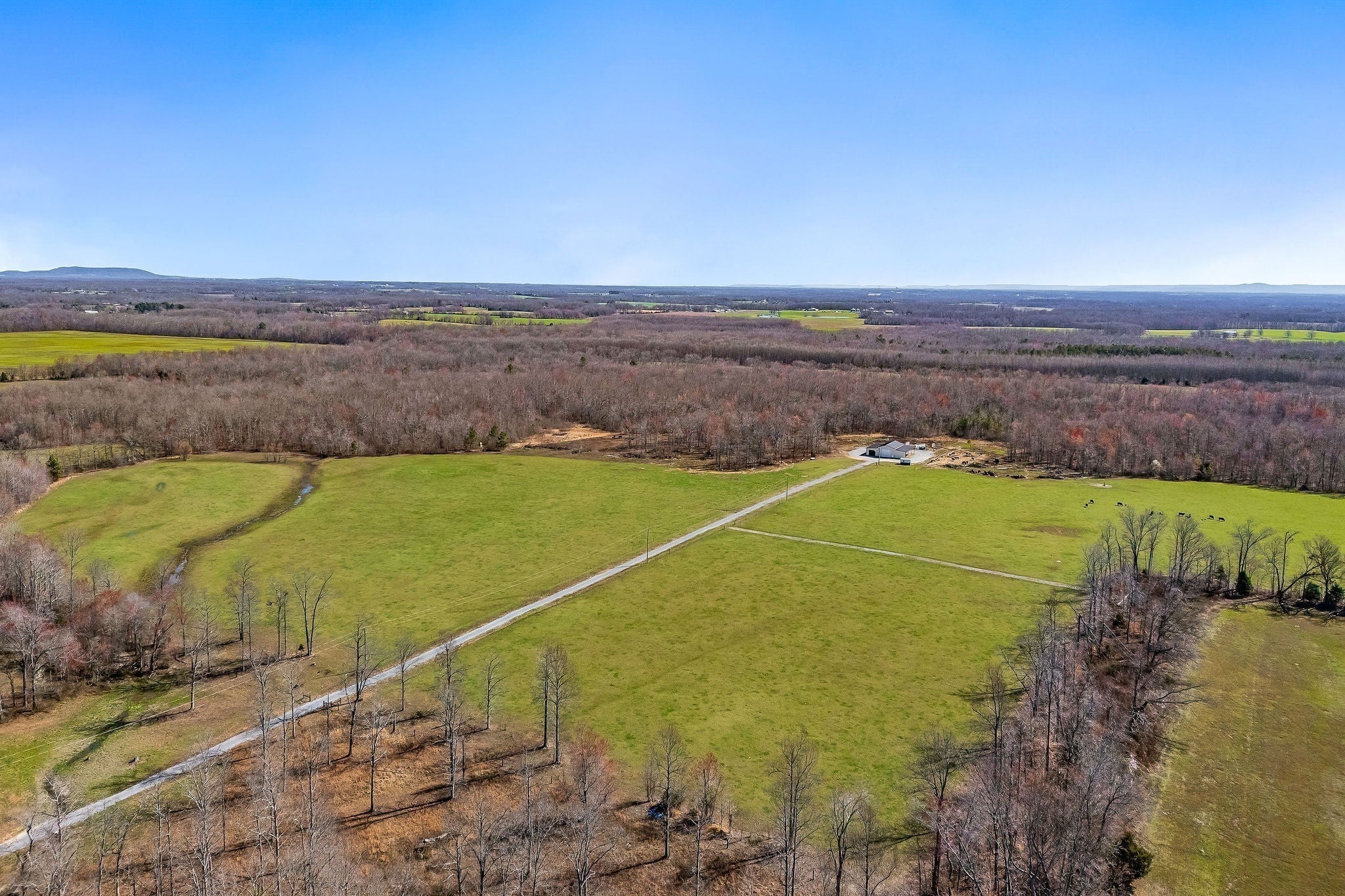 Photo of Listing #2815404