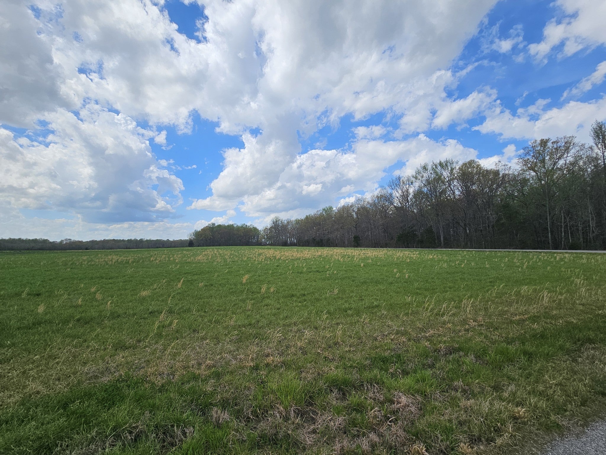 Photo of Listing #2815618