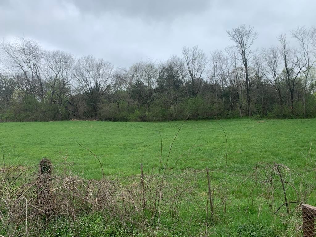 Photo of Listing #2815878
