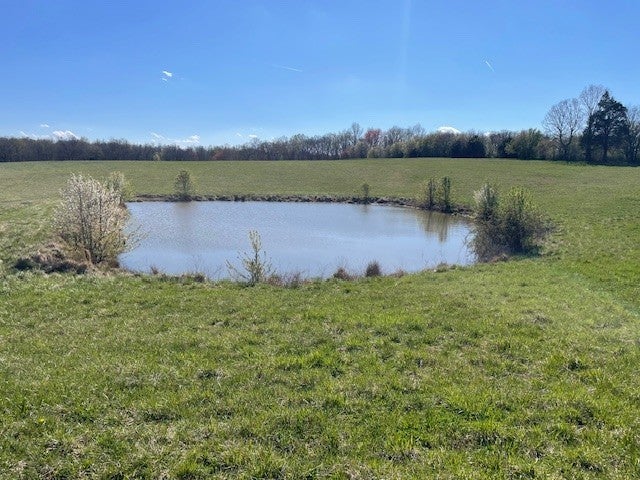 Photo of Listing #2816194