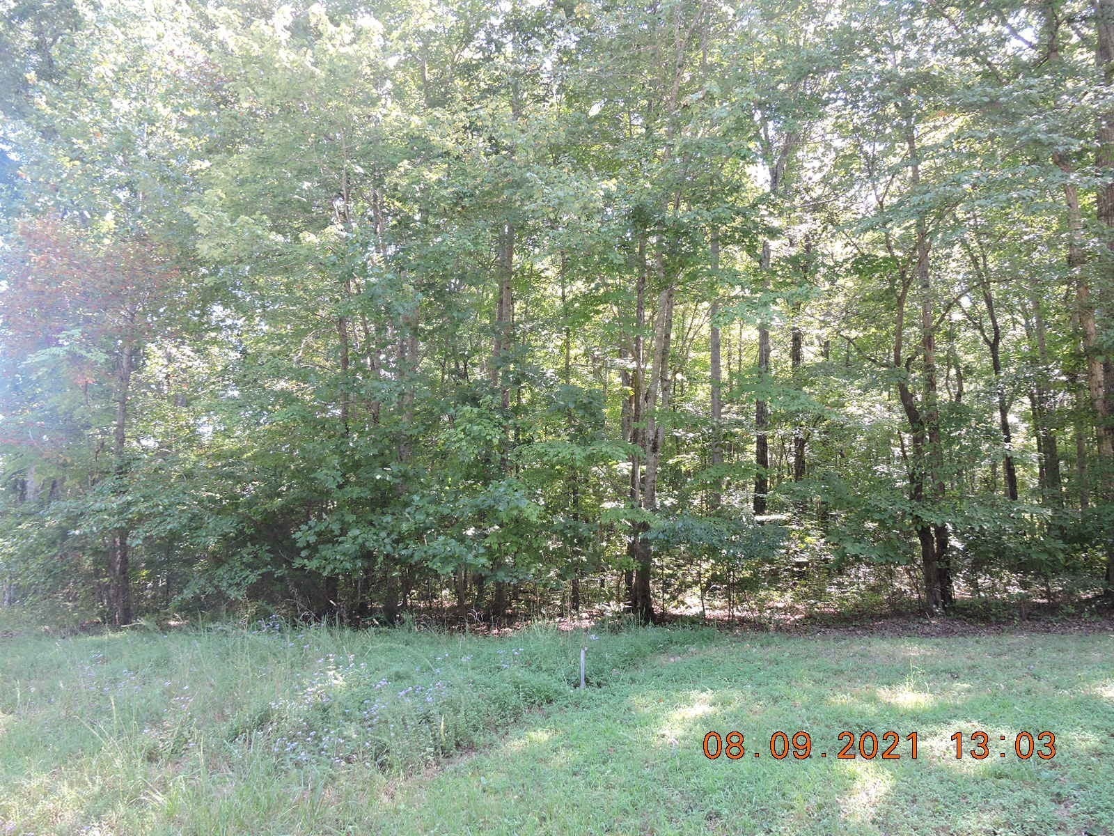 Photo of Listing #2816389