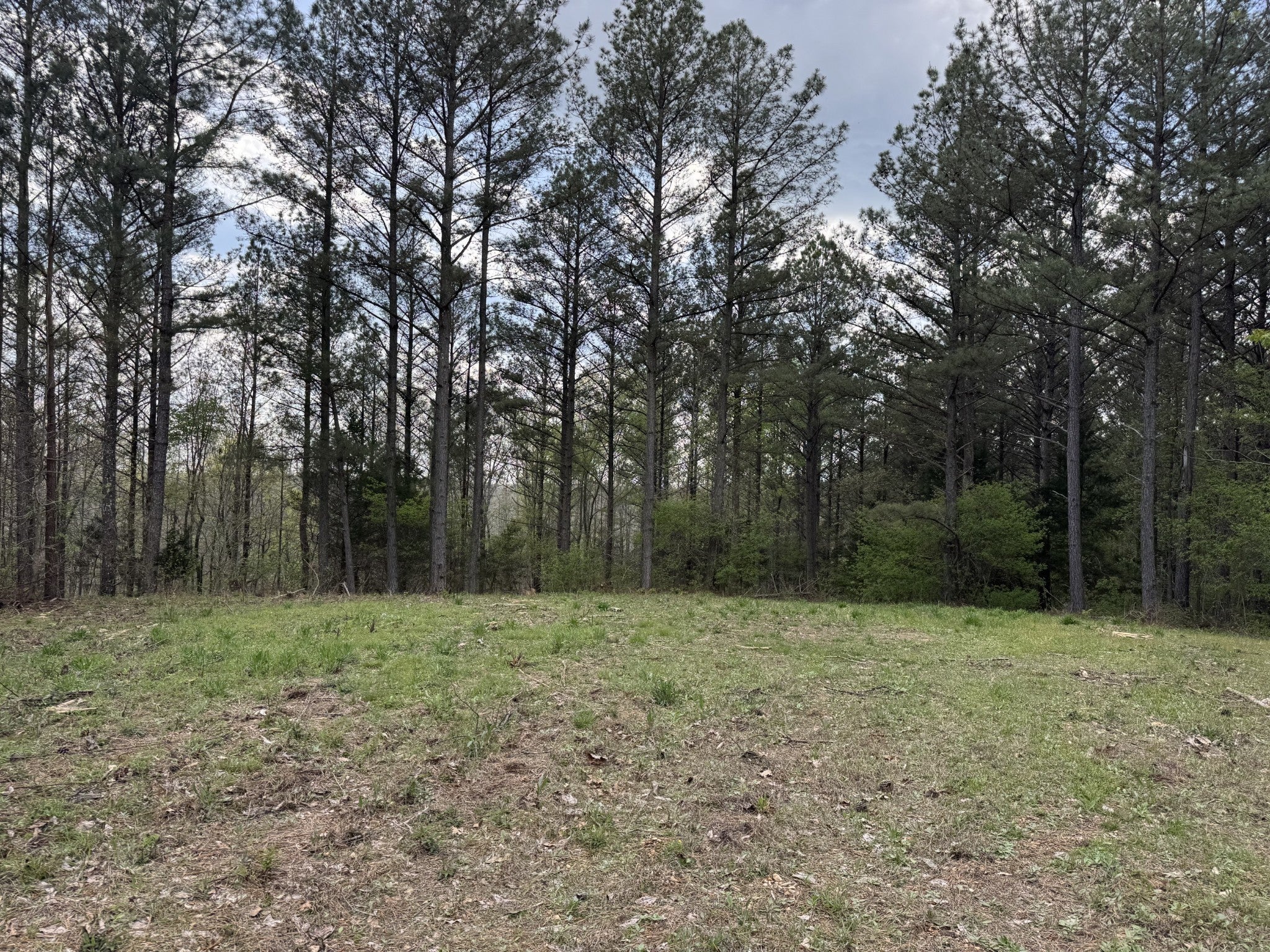 Photo of Listing #2816597