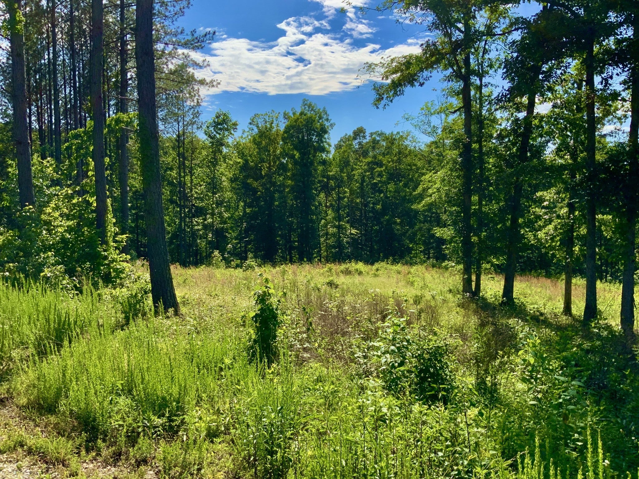 Photo of Listing #2817202