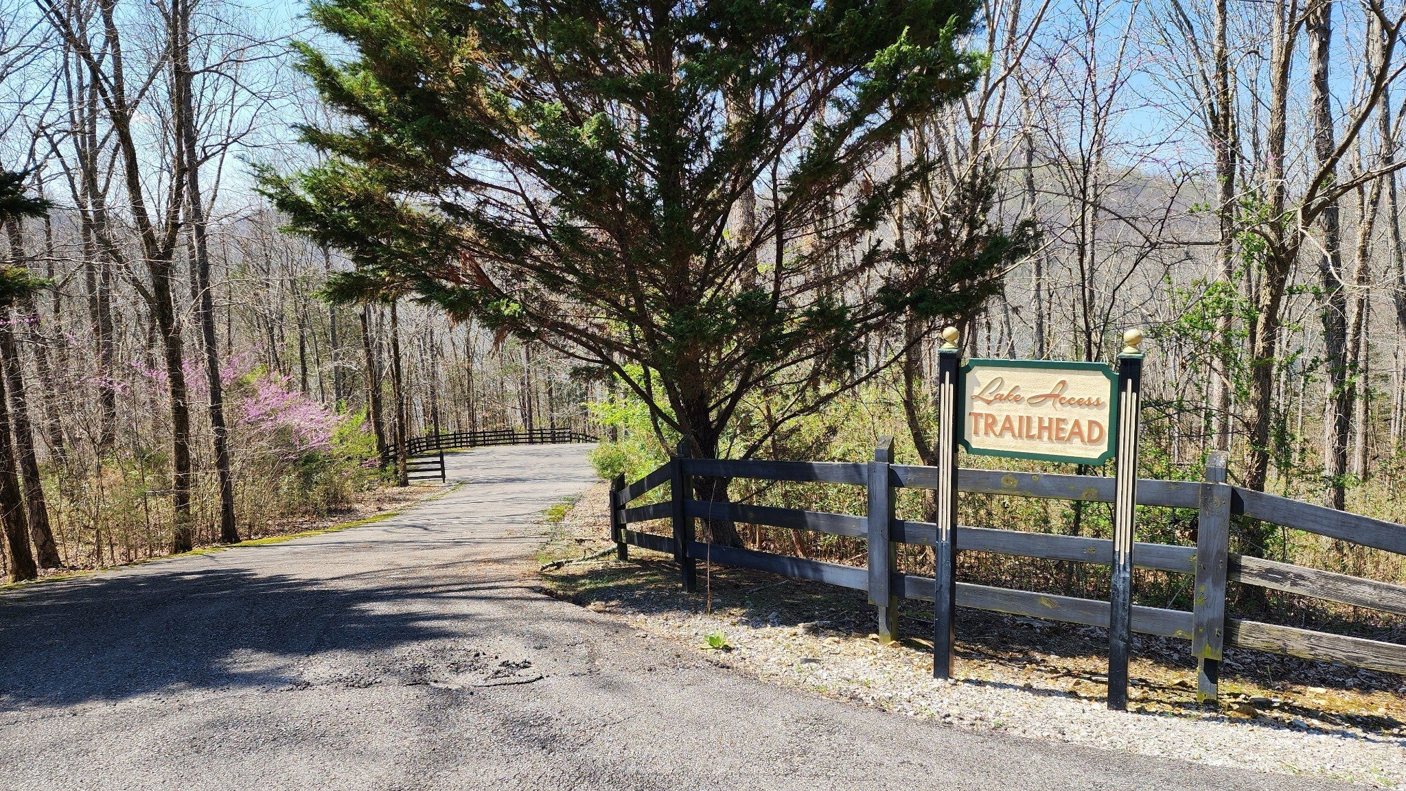 Photo of Listing #2818015