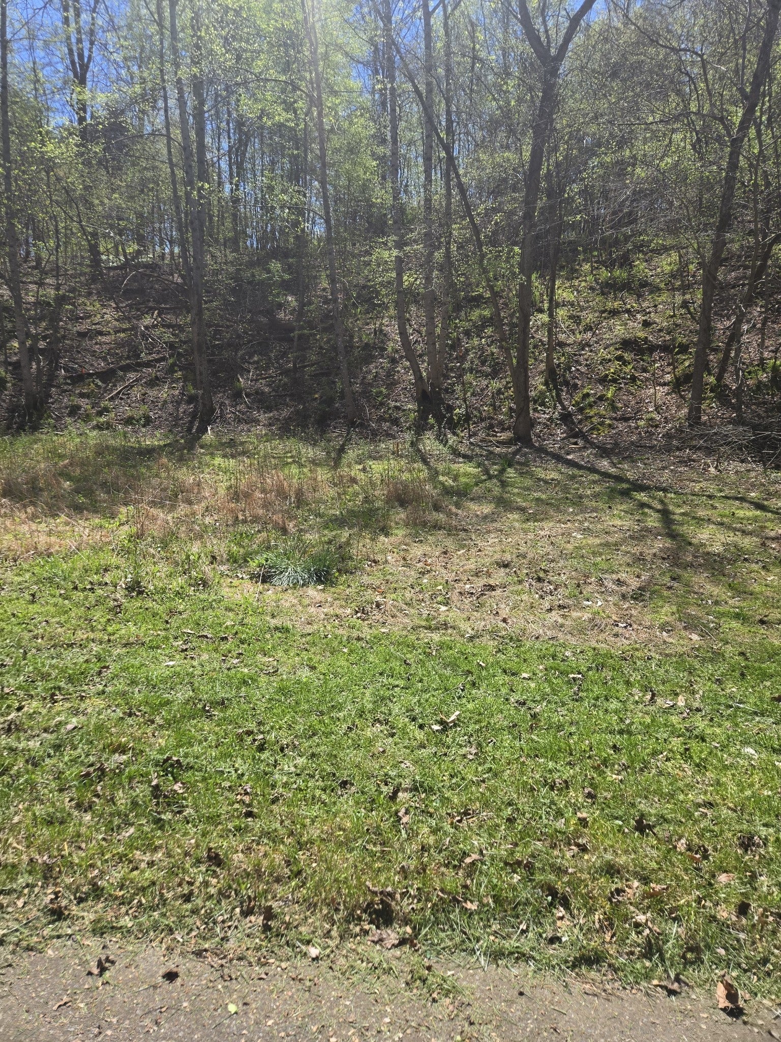 Photo of Listing #2818023