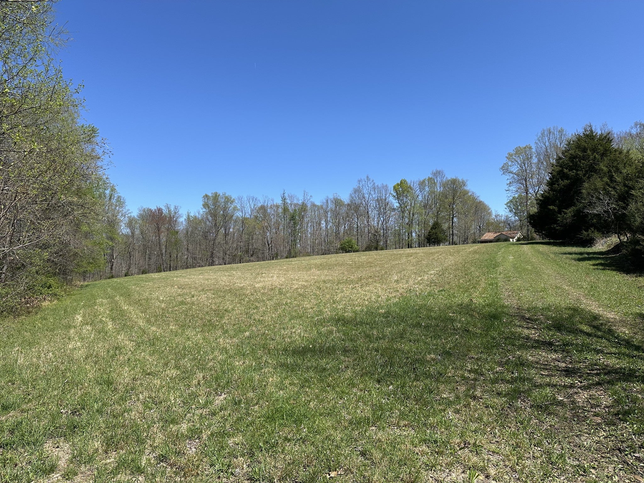 Photo of Listing #2818565