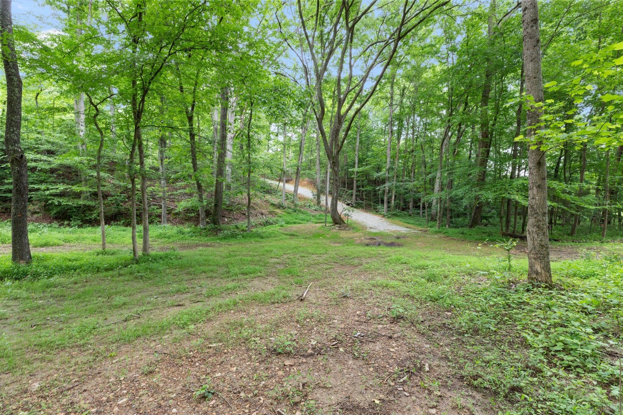 Photo of Listing #2818995