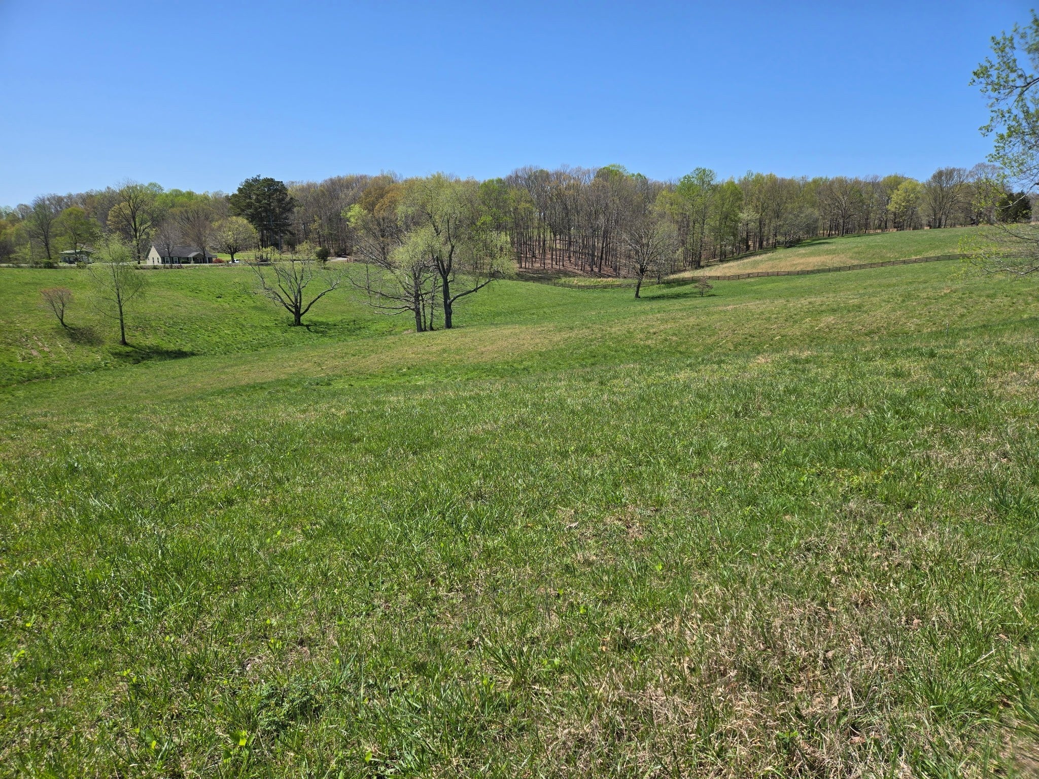 Photo of Listing #2819035