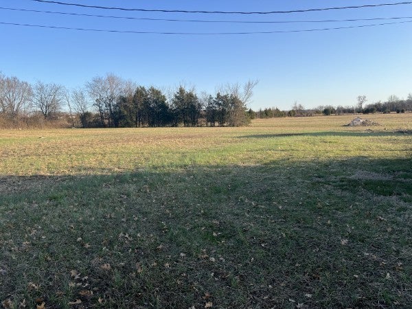 Photo of Listing #2819217