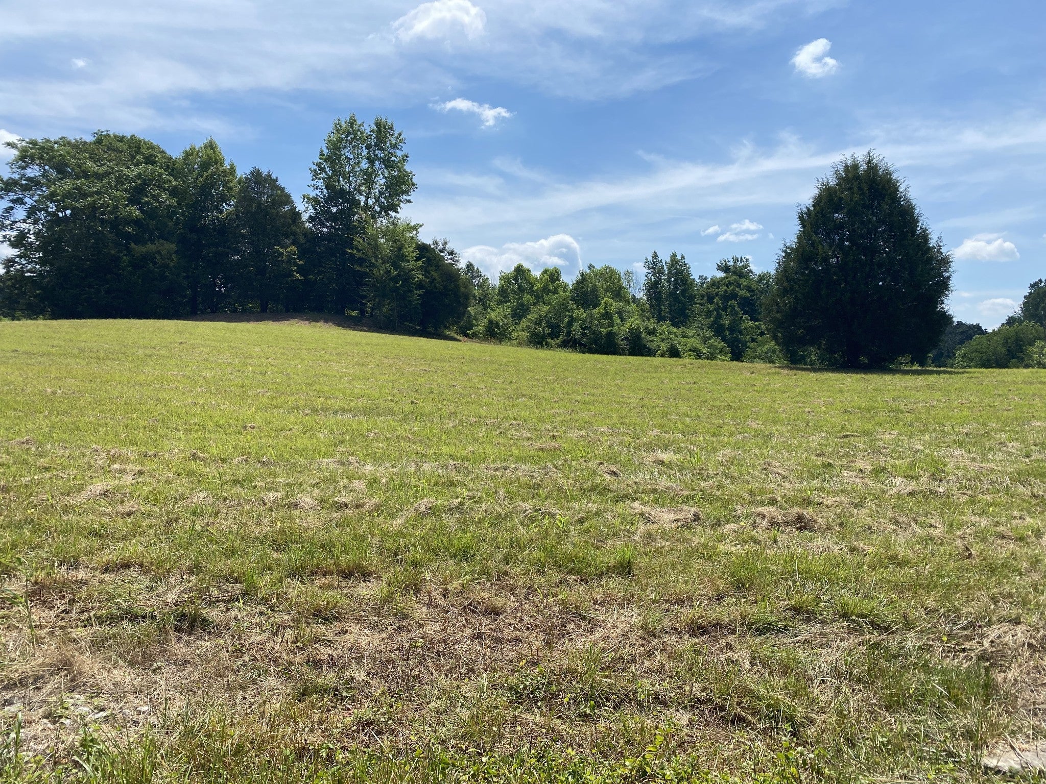 Photo of Listing #2819491