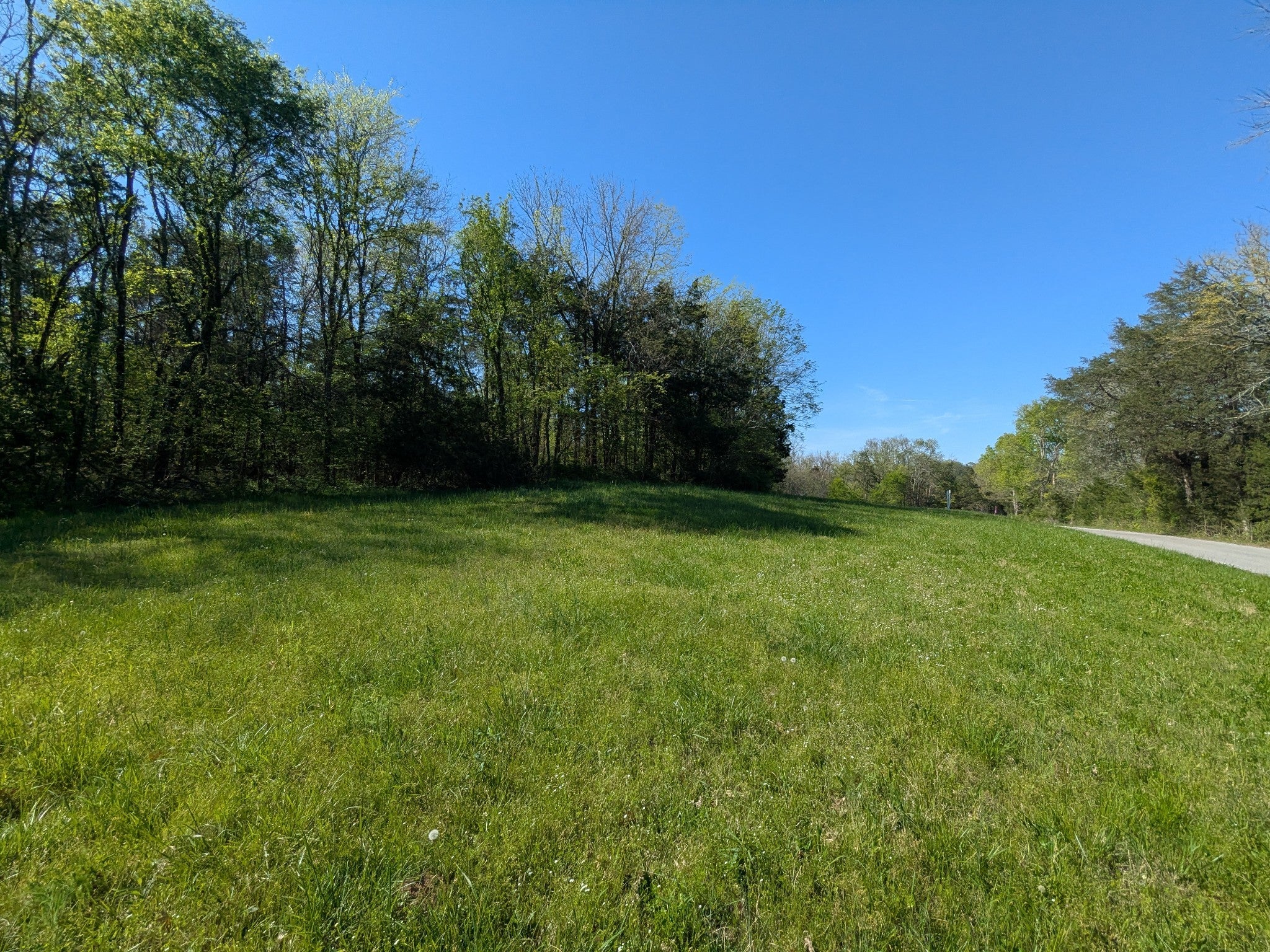 Photo of Listing #2819672