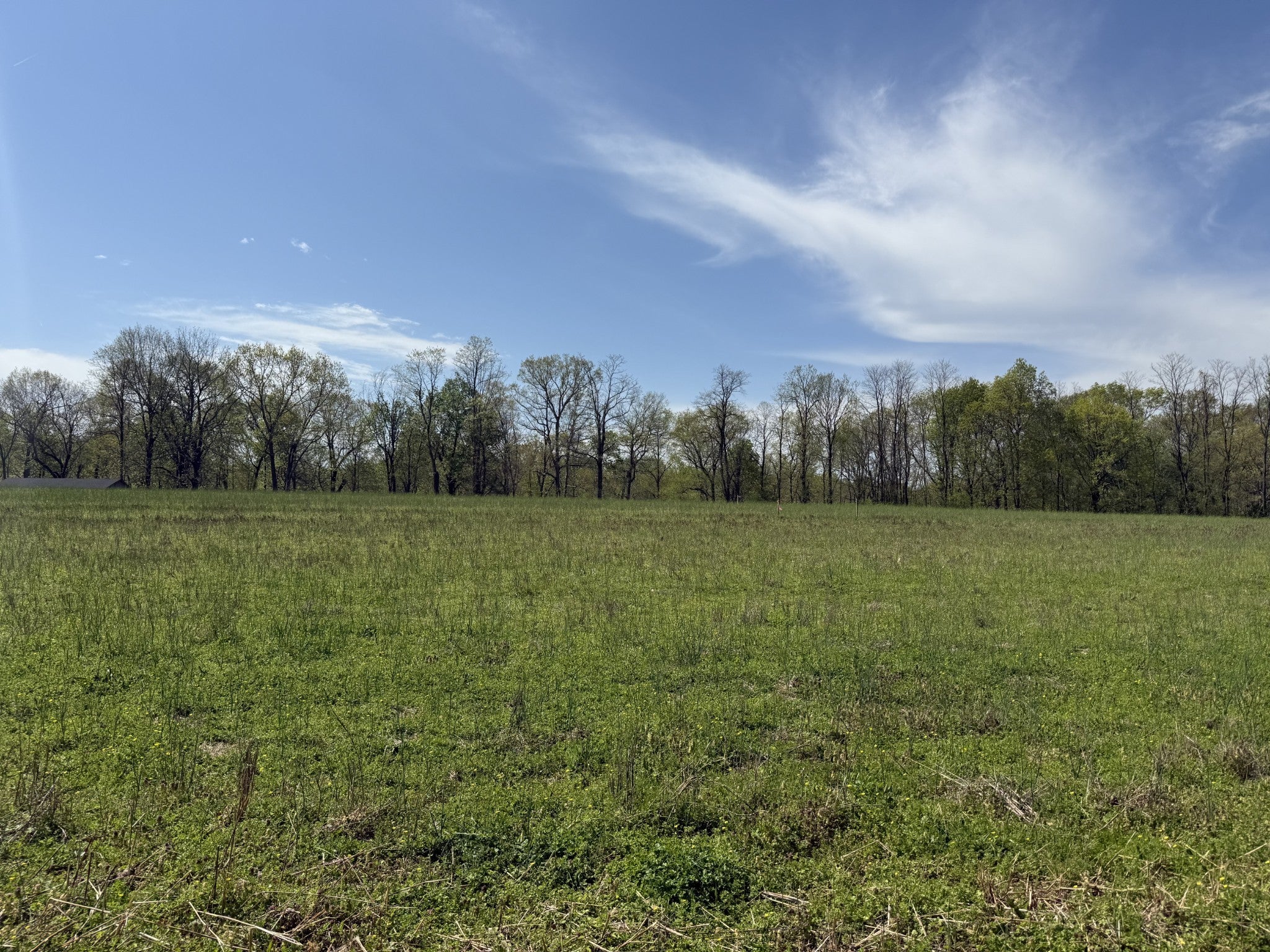 Photo of Listing #2819727