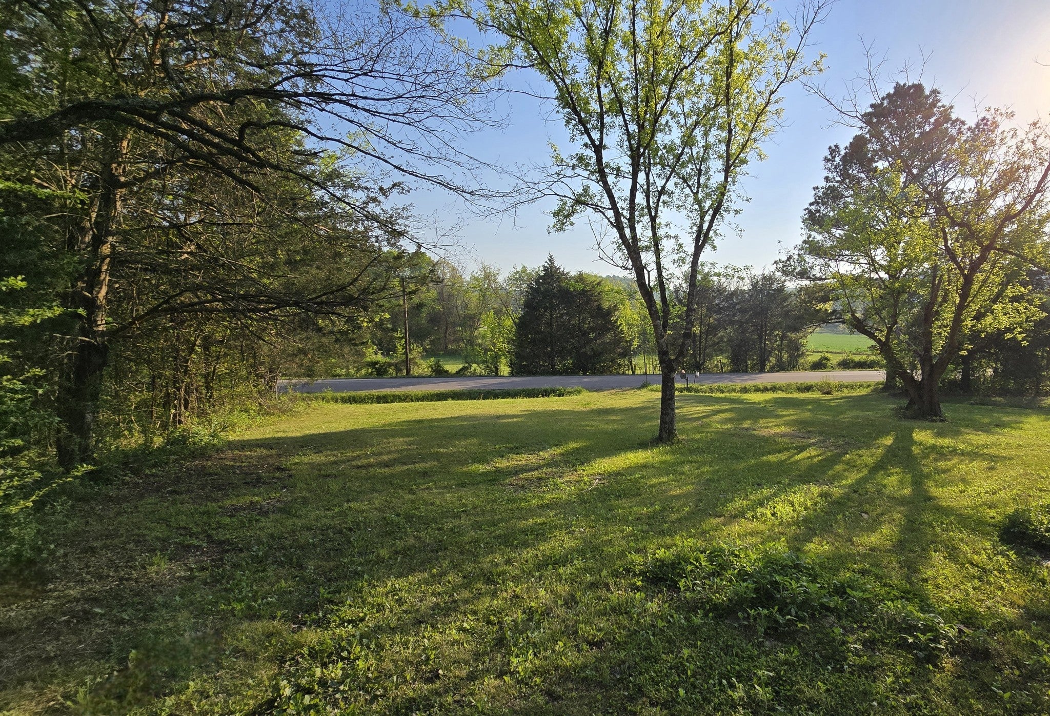 Photo of Listing #2819995
