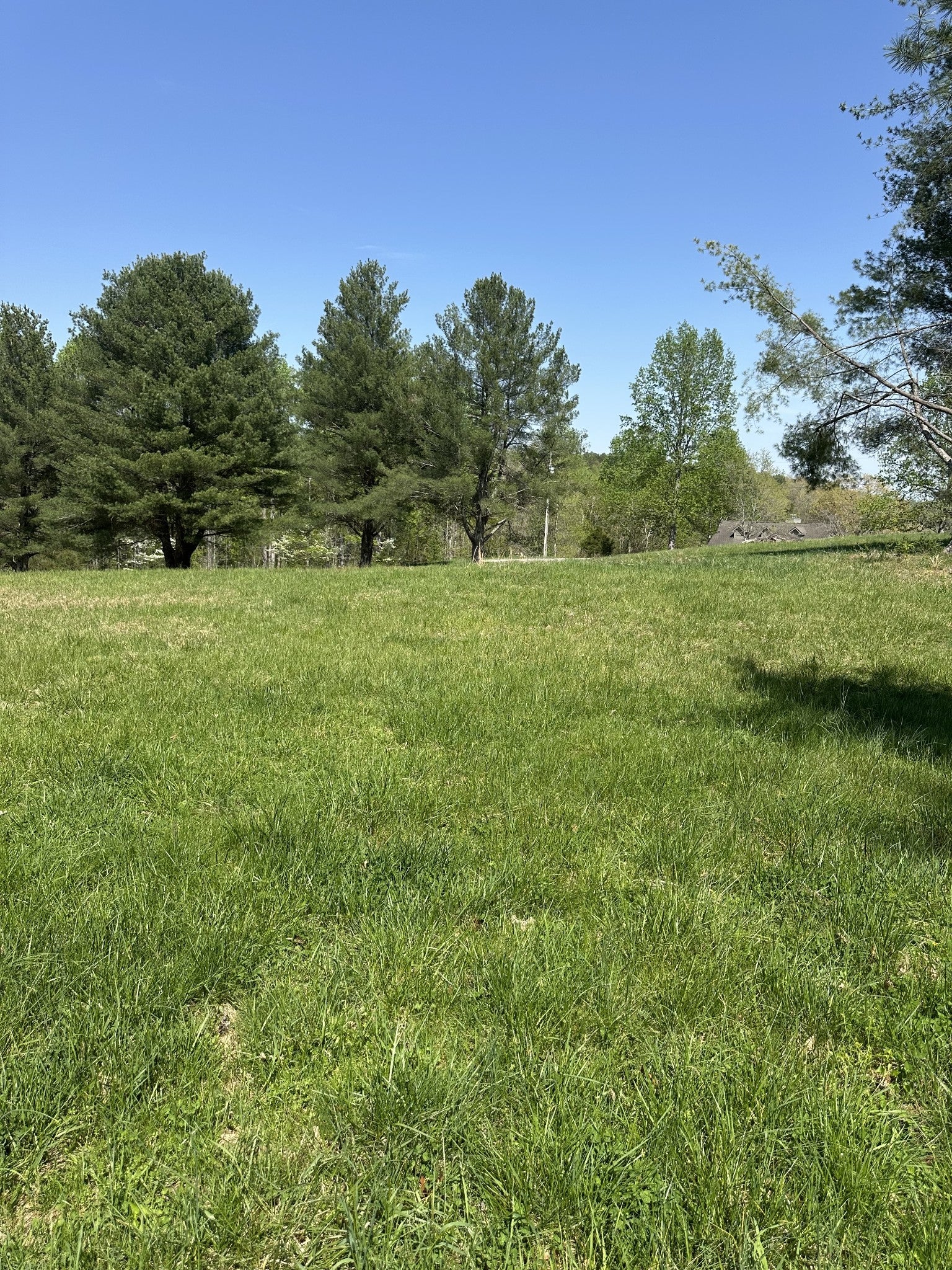 Photo of Listing #2820171