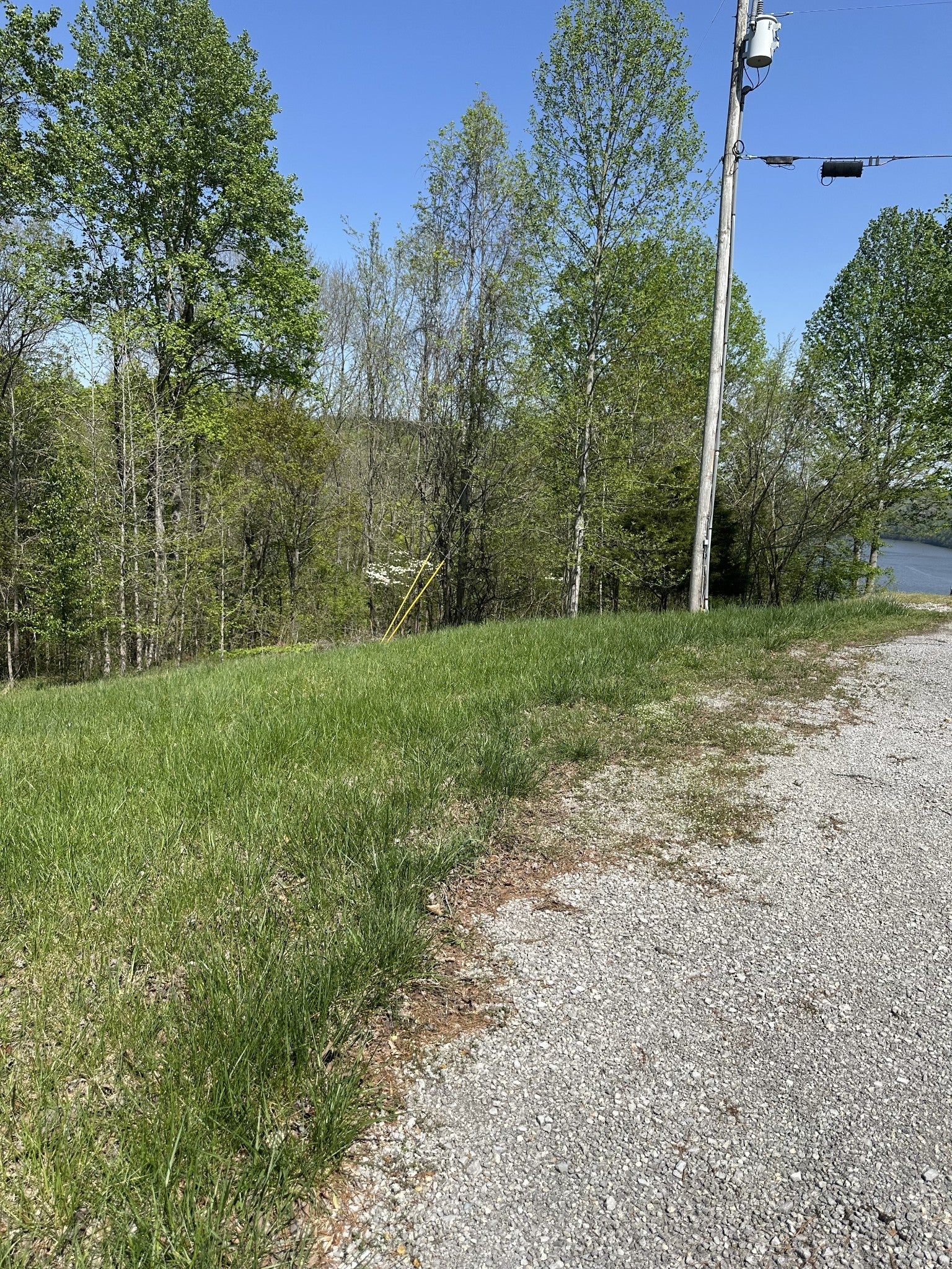 Photo of Listing #2820174